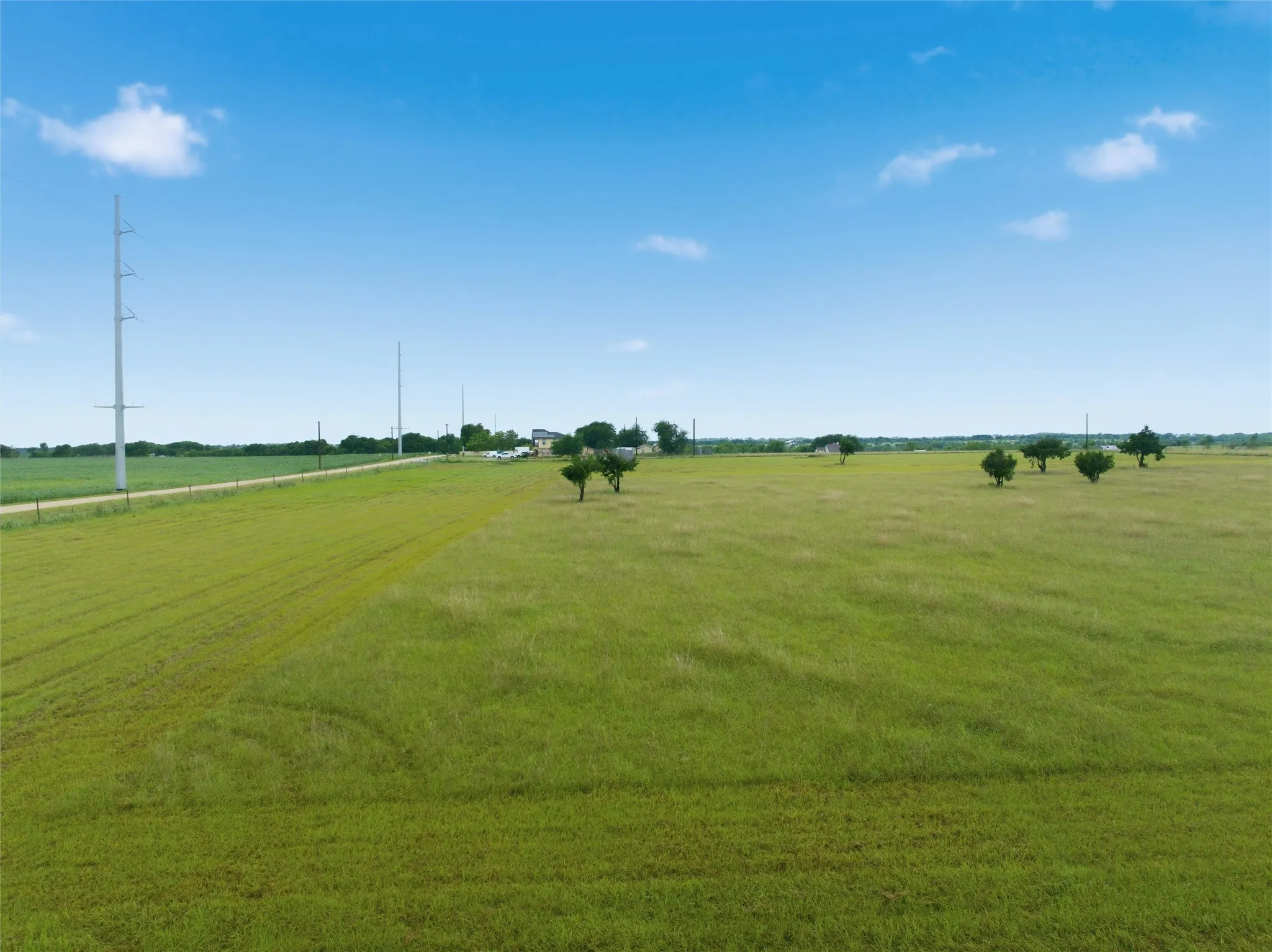 Expansive green field with scattered trees under a clear blue sky