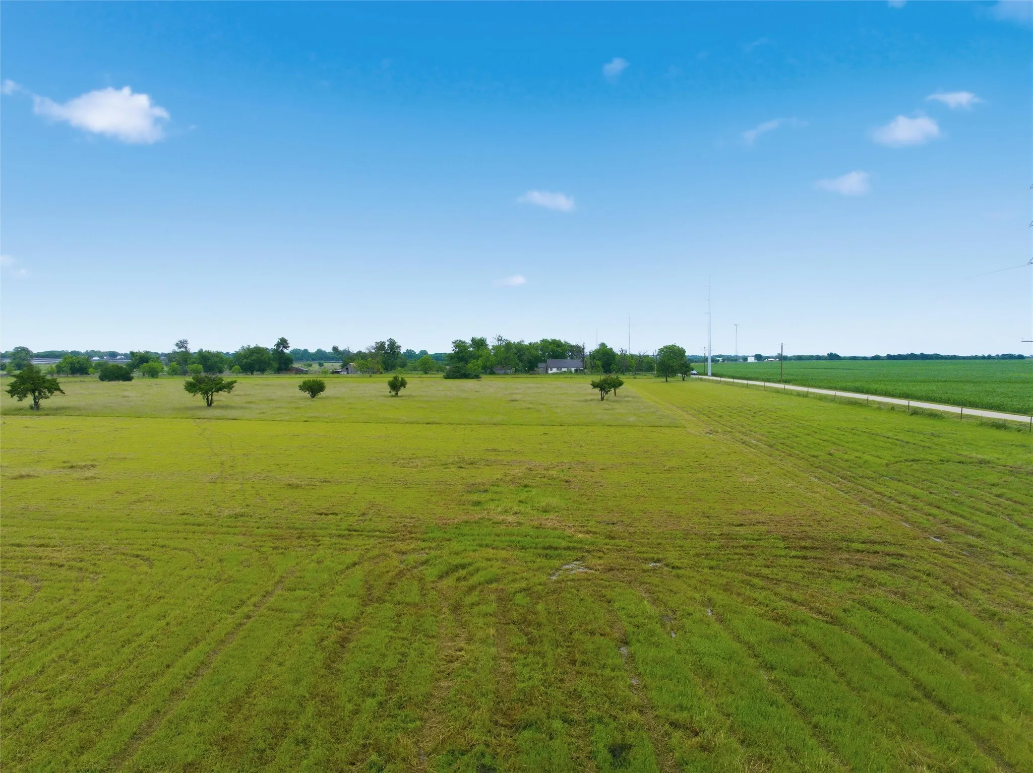 Expansive green field with scattered trees and a distant building