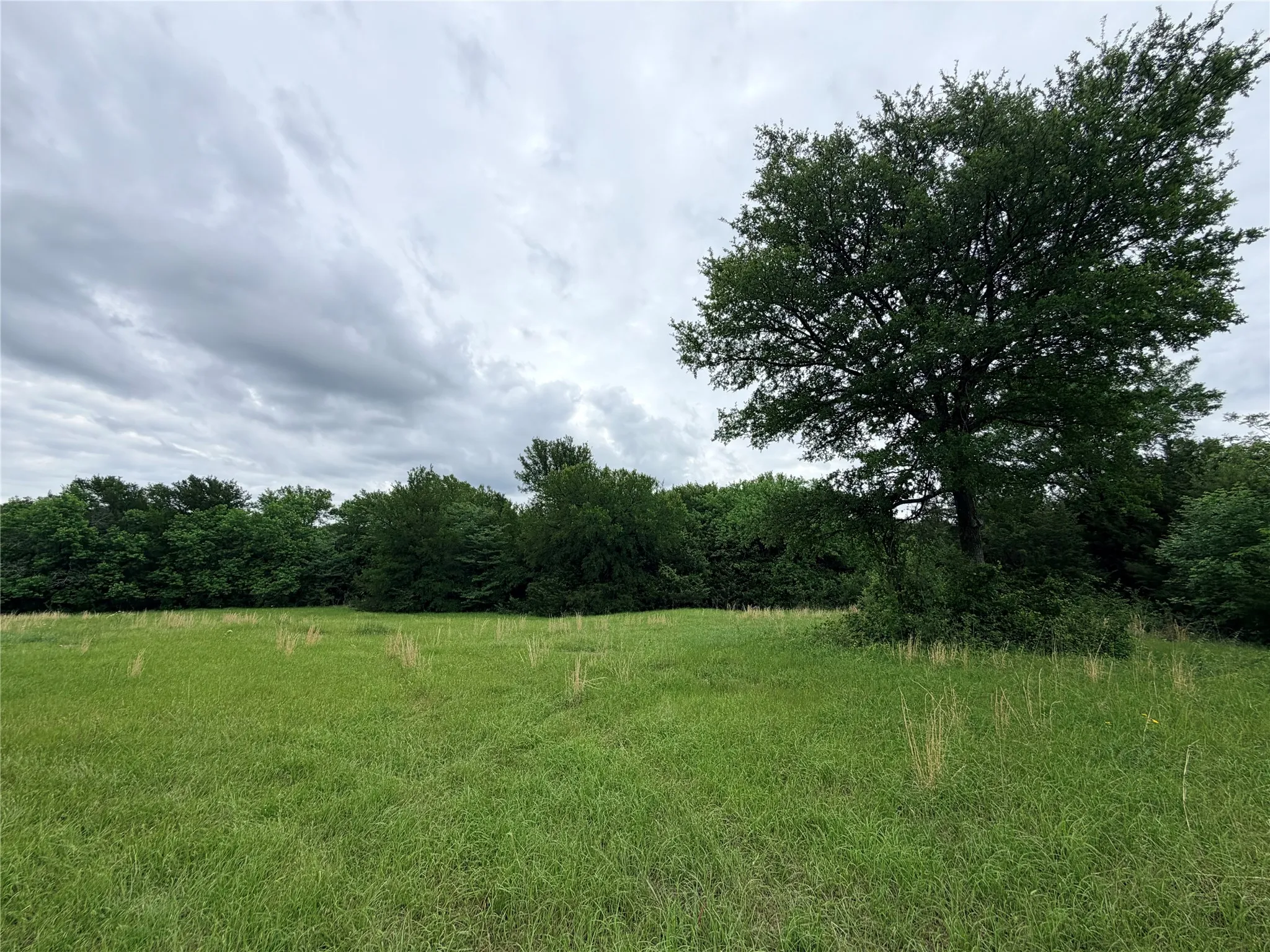 Unimproved Land For Sale in Grayson County , 3.269 Acres State Hwy 289, Pottsboro, Texas 75076, 0, 0, Garage spaces, 0 Sqft, built in 0, mls#21257140, Real Estate Agent in Pottsboro, Homes For Sale in Grayson county, Homes For Sale in Pottsboro, Realtor in Pottsboro Texas, Real Estate Brokerage Independent Realty Texas, Luminita Cordes Realtor