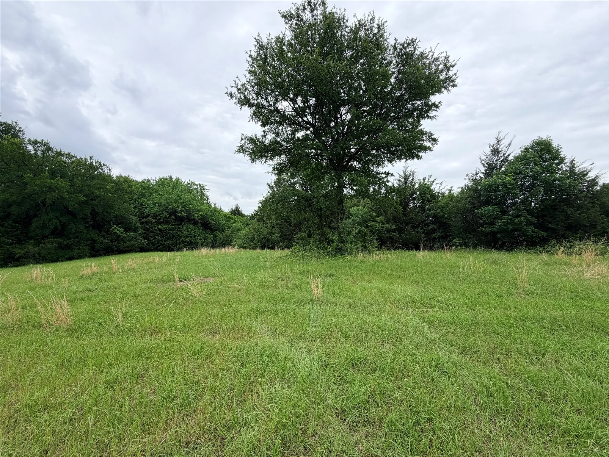 Unimproved Land For Sale in Grayson County , 3.269 Acres State Hwy 289, Pottsboro, Texas 75076, 0, 0, Garage spaces, 0 Sqft, built in 0, mls#21257140, Real Estate Agent in Pottsboro, Homes For Sale in Grayson county, Homes For Sale in Pottsboro, Realtor in Pottsboro Texas, Real Estate Brokerage Independent Realty Texas, Luminita Cordes Realtor