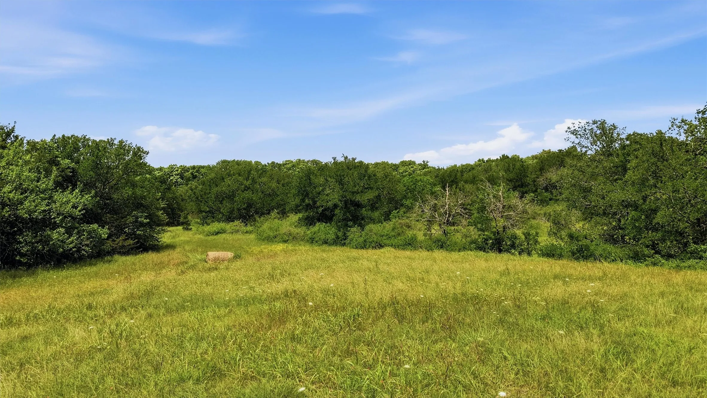 Unimproved Land For Sale in Grayson County , 3.269 Acres State Hwy 289, Pottsboro, Texas 75076, 0, 0, Garage spaces, 0 Sqft, built in 0, mls#21257140, Real Estate Agent in Pottsboro, Homes For Sale in Grayson county, Homes For Sale in Pottsboro, Realtor in Pottsboro Texas, Real Estate Brokerage Independent Realty Texas, Luminita Cordes Realtor