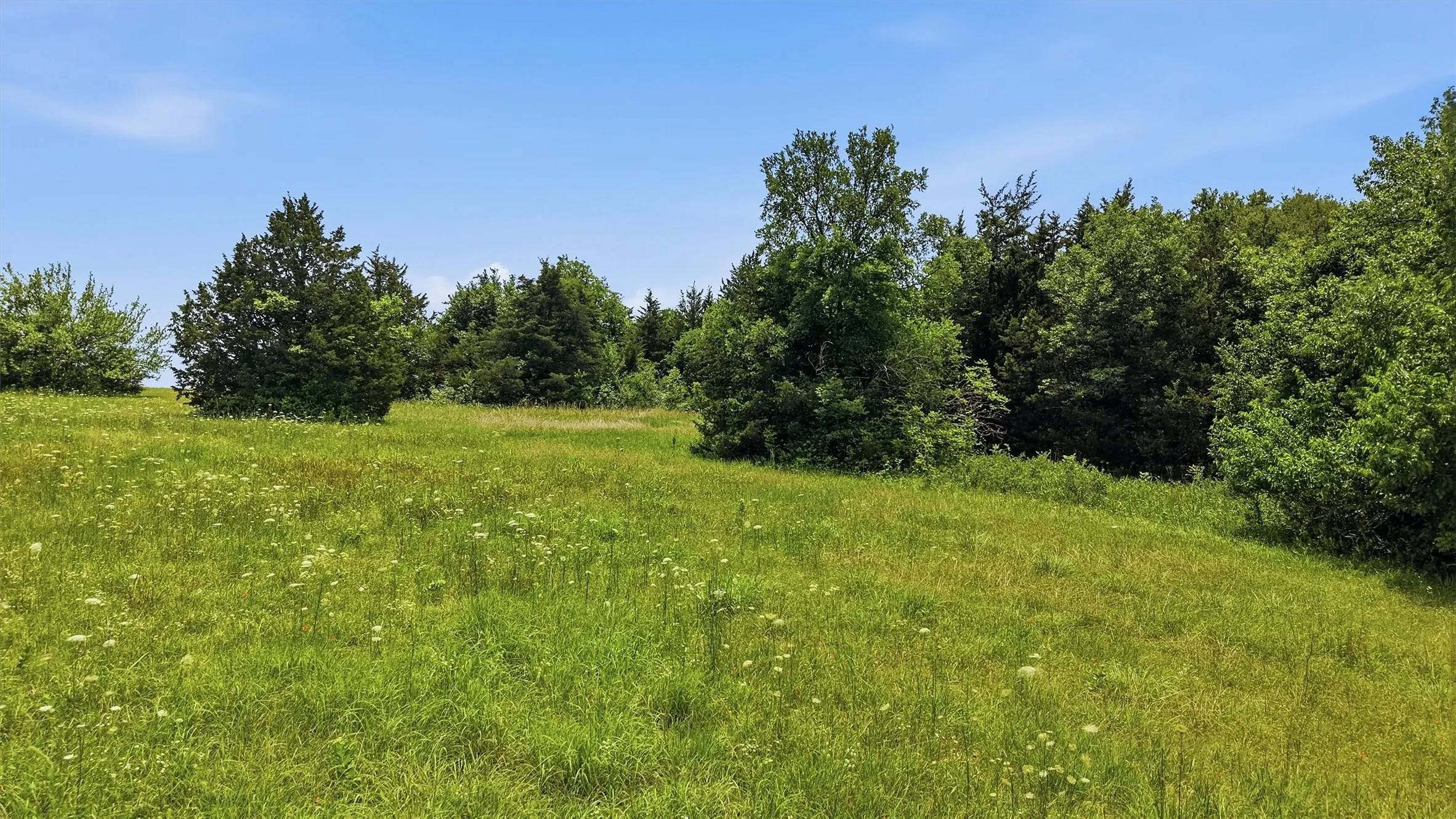 Unimproved Land For Sale in Grayson County , 3.269 Acres State Hwy 289, Pottsboro, Texas 75076, 0, 0, Garage spaces, 0 Sqft, built in 0, mls#21257140, Real Estate Agent in Pottsboro, Homes For Sale in Grayson county, Homes For Sale in Pottsboro, Realtor in Pottsboro Texas, Real Estate Brokerage Independent Realty Texas, Luminita Cordes Realtor