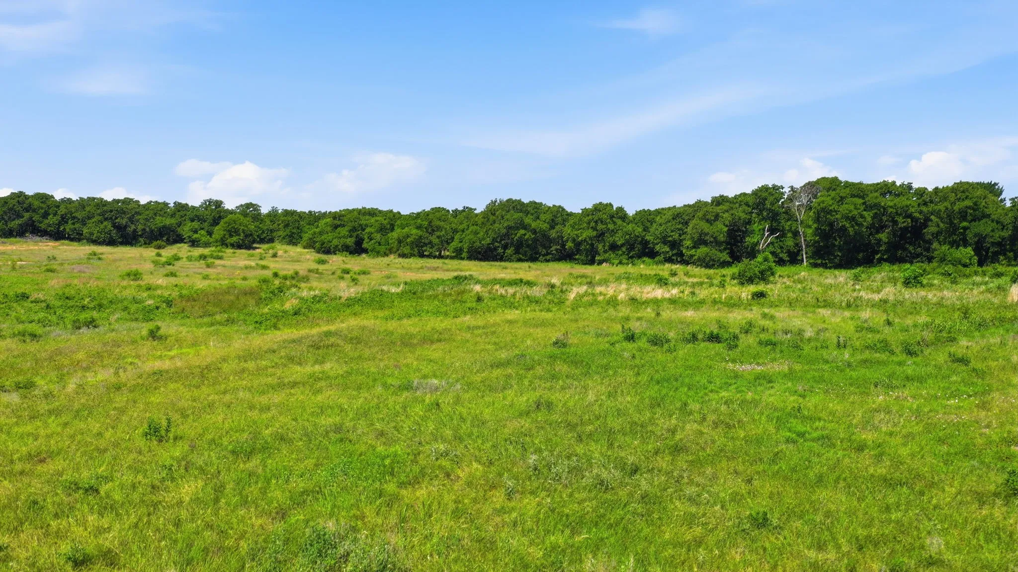 Unimproved Land For Sale in Jack County , 633 N Stallion Meadows Drive, Perrin, Texas 76486, 0, 0, Garage spaces, 0 Sqft, built in 0, mls#21262057, Real Estate Agent in Perrin, Homes For Sale in Jack county, Homes For Sale in Perrin, Realtor in Perrin Texas, Real Estate Brokerage Independent Realty Texas, Luminita Cordes Realtor