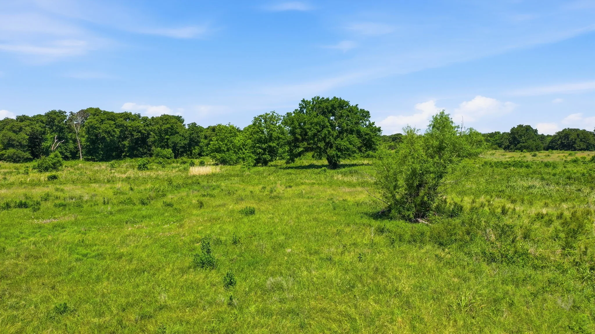 Unimproved Land For Sale in Jack County , 633 N Stallion Meadows Drive, Perrin, Texas 76486, 0, 0, Garage spaces, 0 Sqft, built in 0, mls#21262057, Real Estate Agent in Perrin, Homes For Sale in Jack county, Homes For Sale in Perrin, Realtor in Perrin Texas, Real Estate Brokerage Independent Realty Texas, Luminita Cordes Realtor