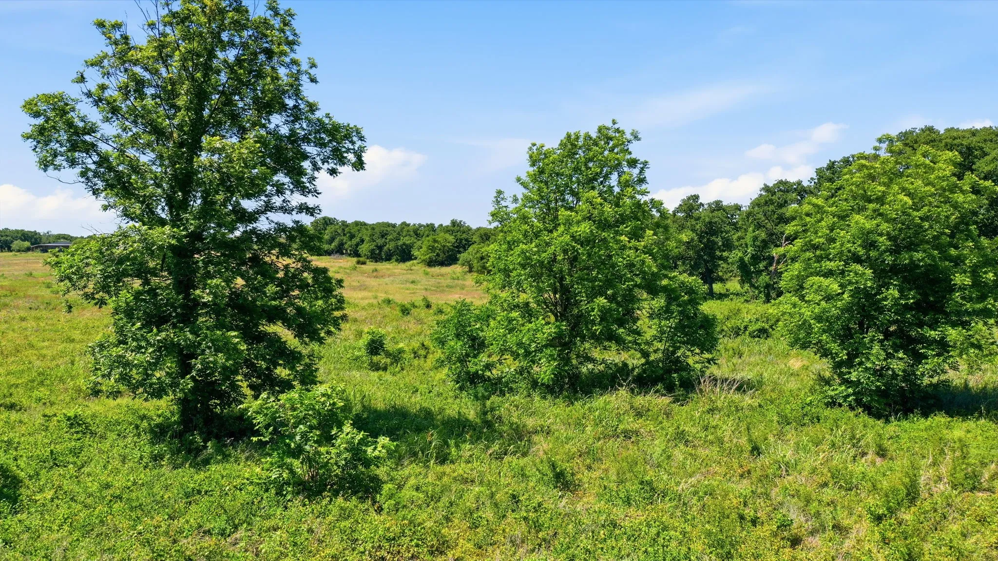 Unimproved Land For Sale in Jack County , 633 N Stallion Meadows Drive, Perrin, Texas 76486, 0, 0, Garage spaces, 0 Sqft, built in 0, mls#21262057, Real Estate Agent in Perrin, Homes For Sale in Jack county, Homes For Sale in Perrin, Realtor in Perrin Texas, Real Estate Brokerage Independent Realty Texas, Luminita Cordes Realtor