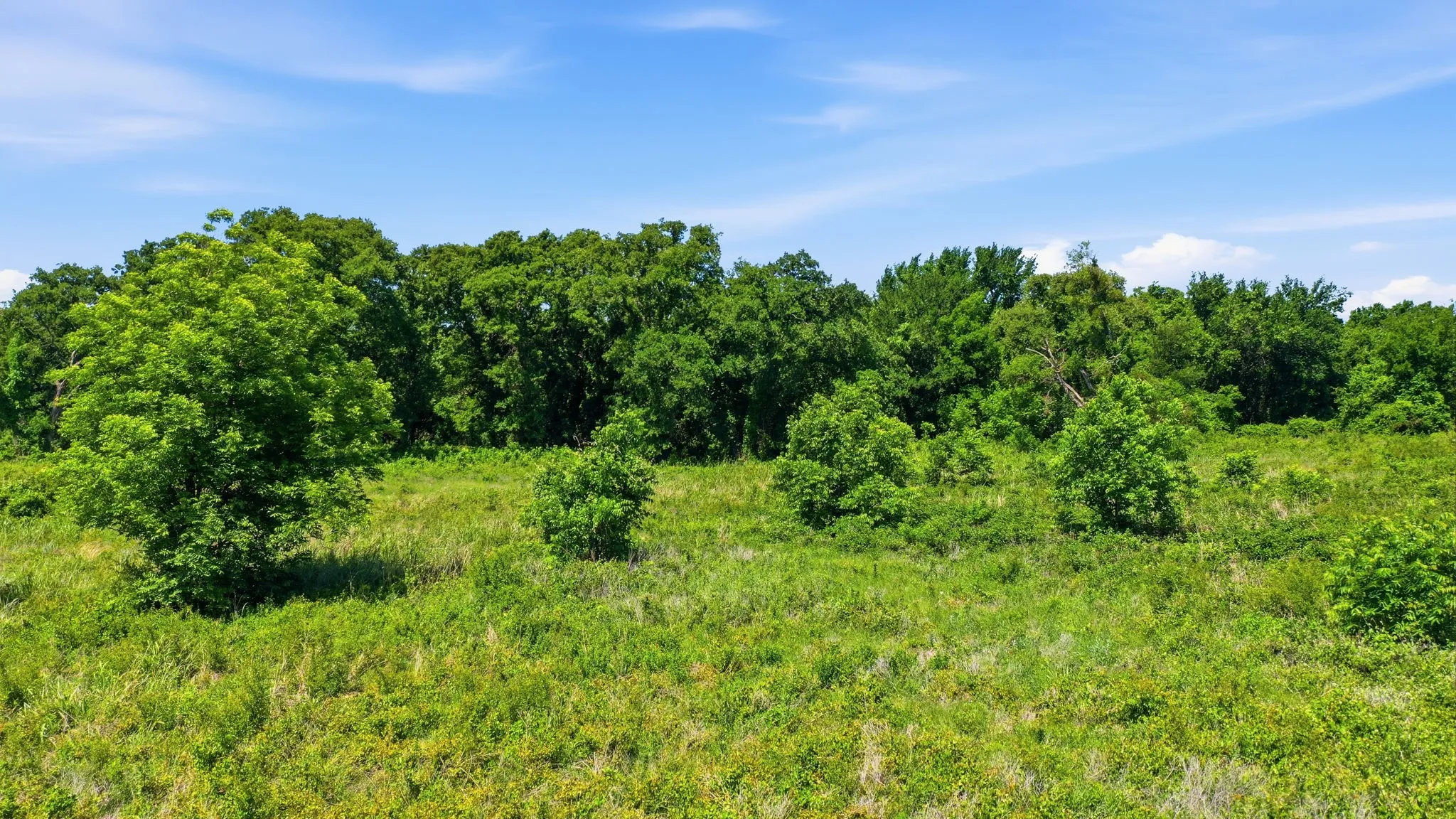 Unimproved Land For Sale in Jack County , 633 N Stallion Meadows Drive, Perrin, Texas 76486, 0, 0, Garage spaces, 0 Sqft, built in 0, mls#21262057, Real Estate Agent in Perrin, Homes For Sale in Jack county, Homes For Sale in Perrin, Realtor in Perrin Texas, Real Estate Brokerage Independent Realty Texas, Luminita Cordes Realtor