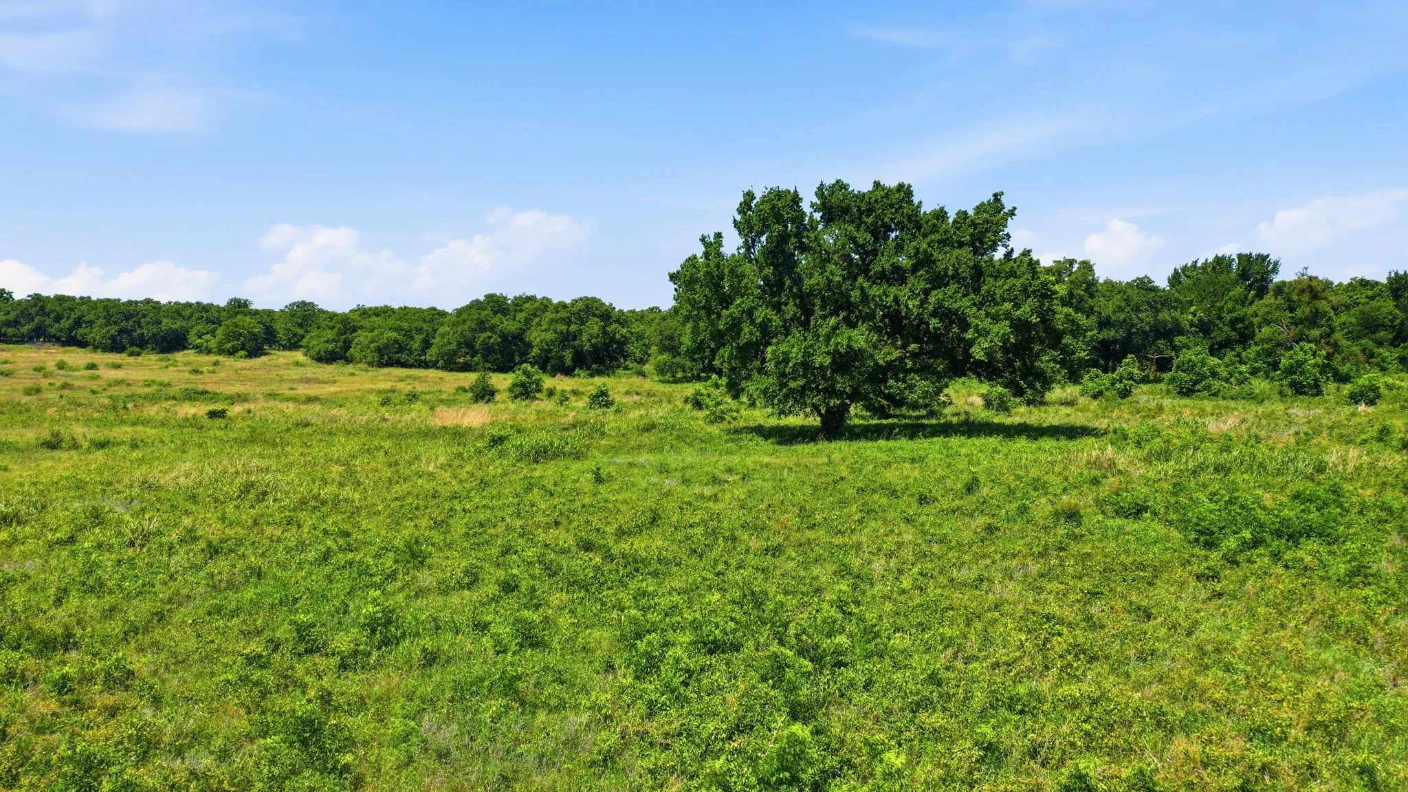 Unimproved Land For Sale in Jack County , 633 N Stallion Meadows Drive, Perrin, Texas 76486, 0, 0, Garage spaces, 0 Sqft, built in 0, mls#21262057, Real Estate Agent in Perrin, Homes For Sale in Jack county, Homes For Sale in Perrin, Realtor in Perrin Texas, Real Estate Brokerage Independent Realty Texas, Luminita Cordes Realtor