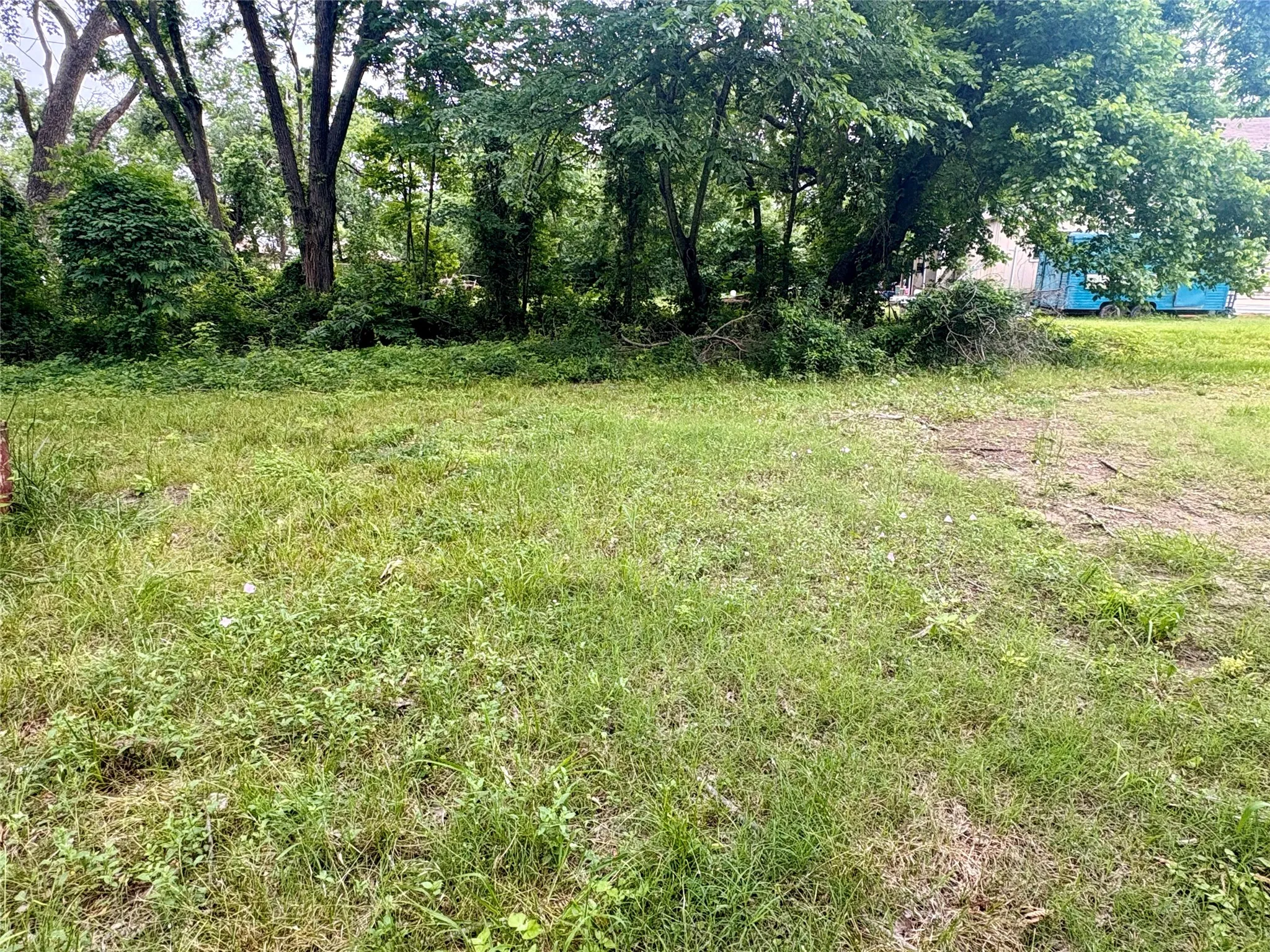 Interior tree line
