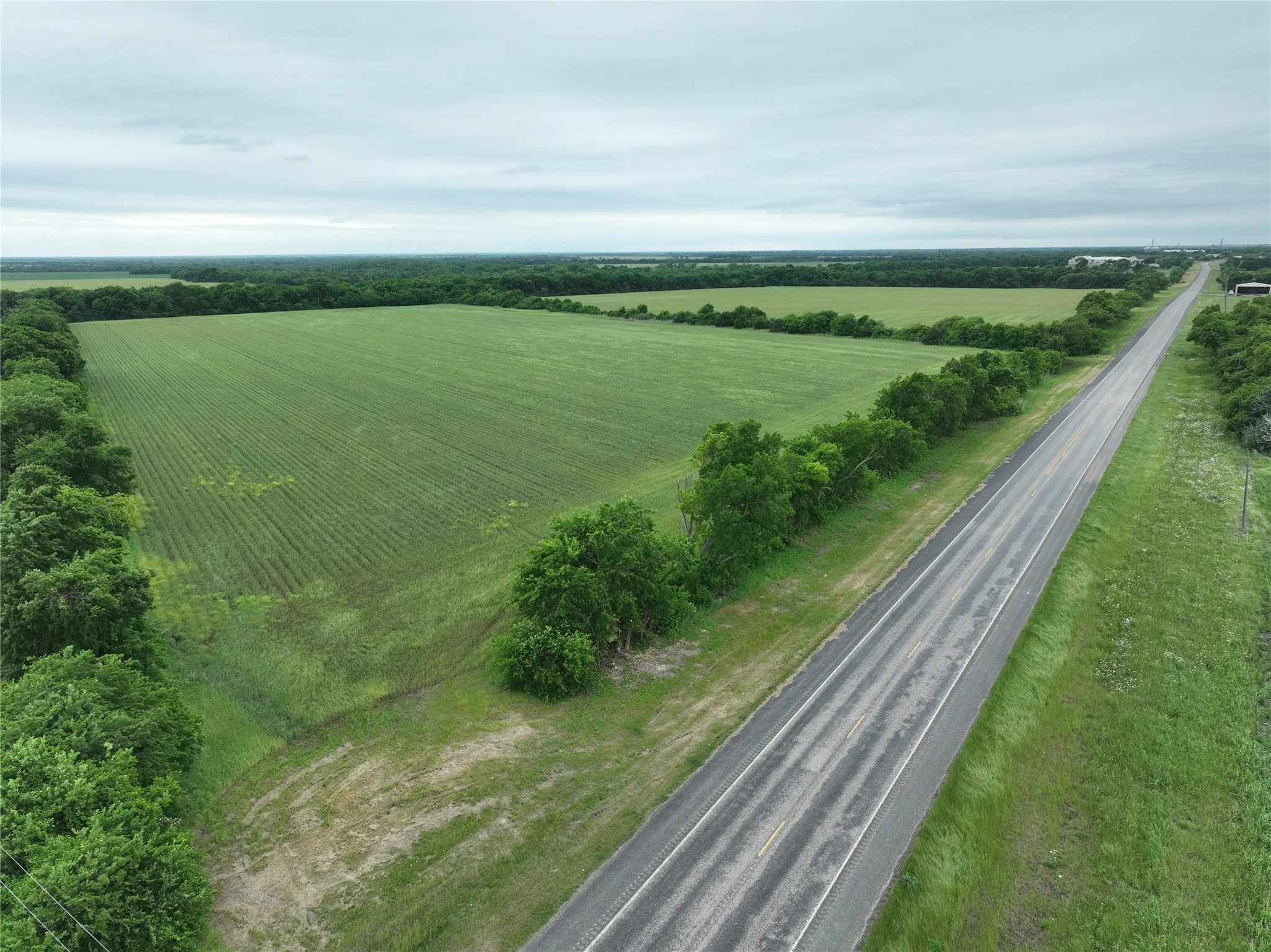 Expansive agricultural land featuring a paved road frontage, mature tree lines, and a cultivated field