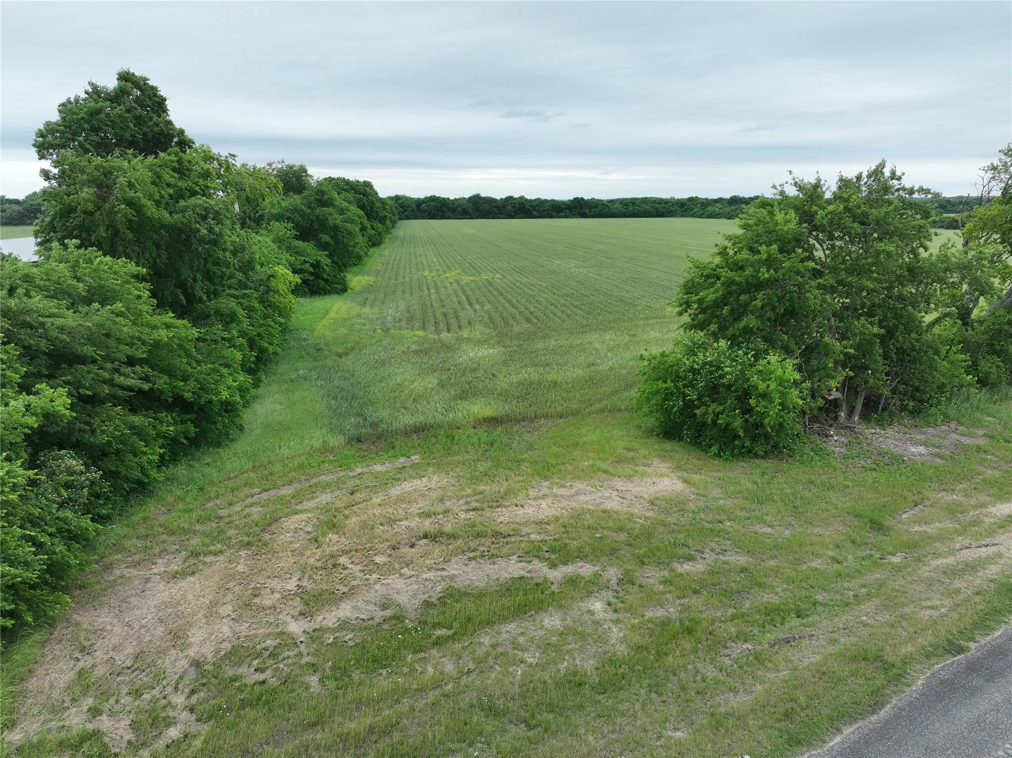 Expansive undeveloped land featuring a large agricultural field, mature perimeter trees, and a partially grassed foreground