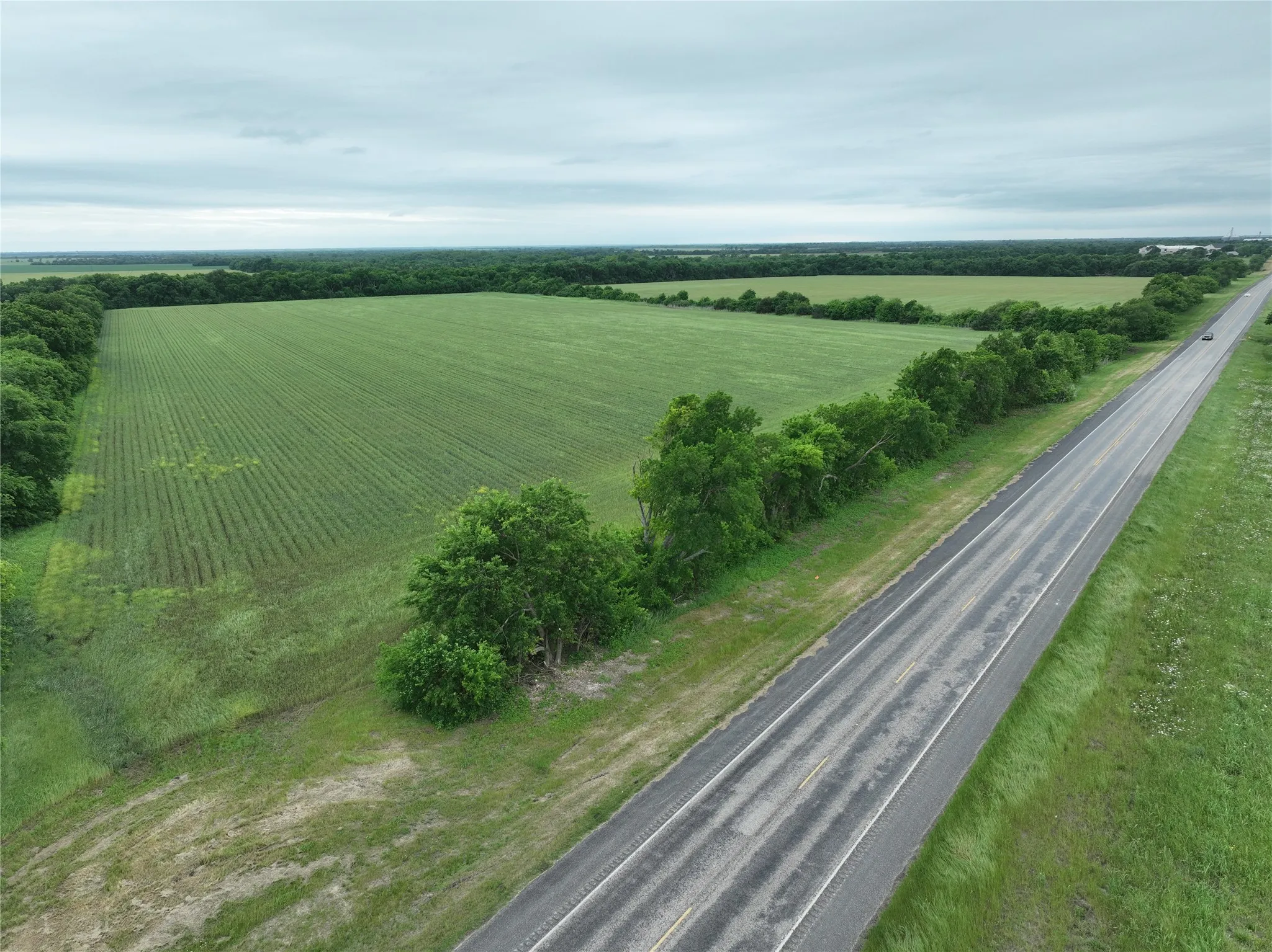 Expansive agricultural field bordered by mature trees and a two-lane paved road