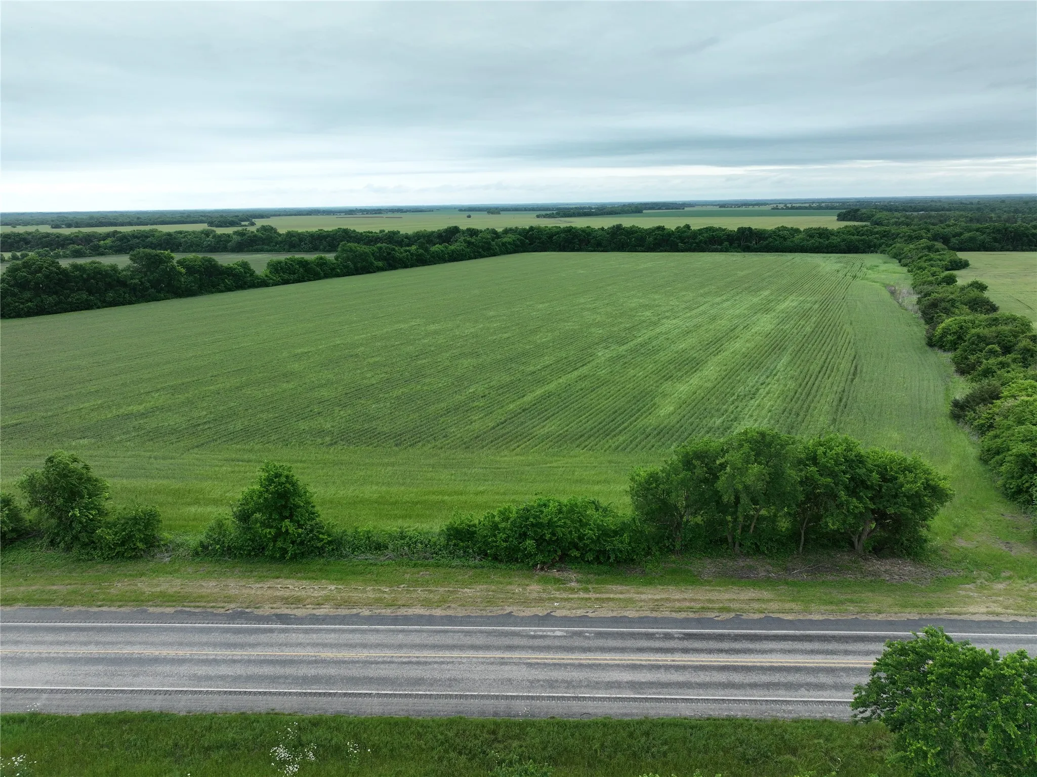 Expansive agricultural land featuring verdant fields and mature tree lines