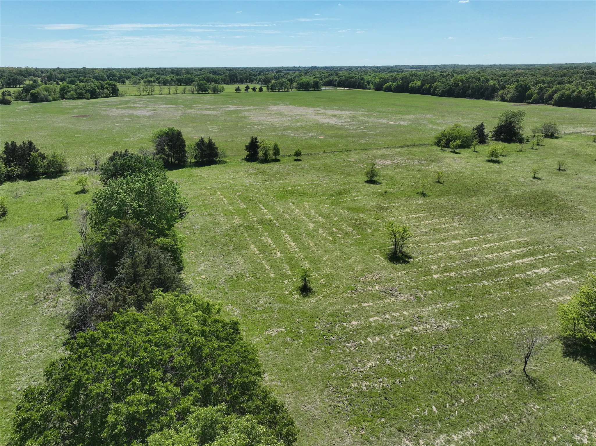 Expansive green fields with scattered trees and wooded borders