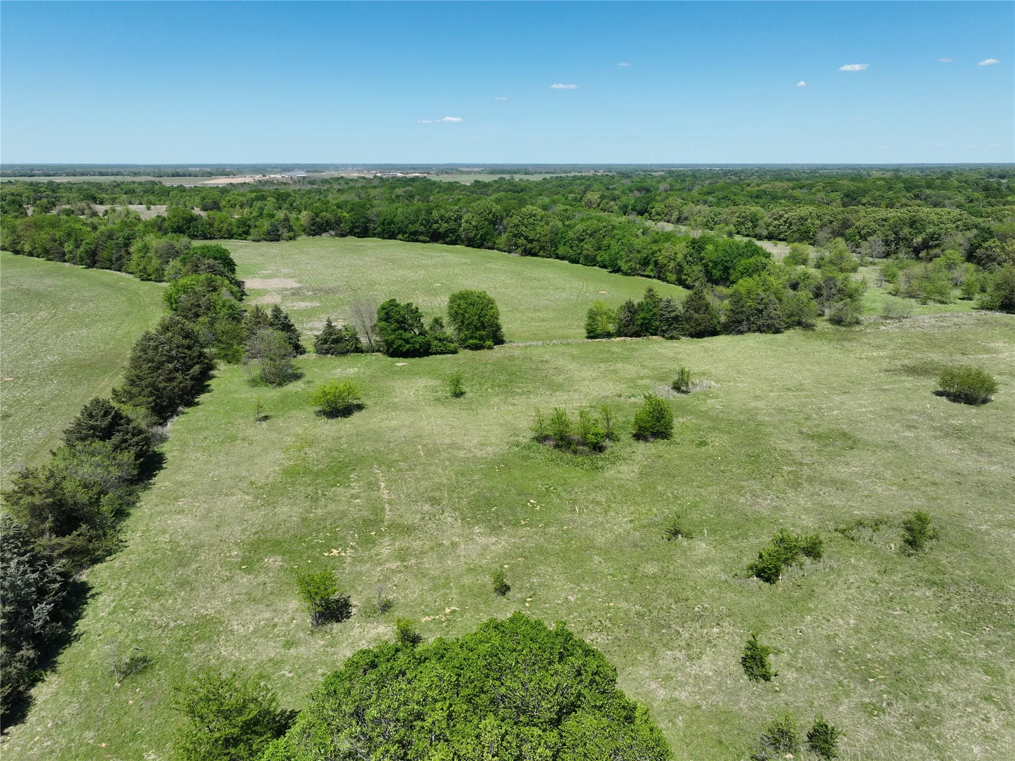 Expansive green acreage featuring scattered trees and a distant tree line