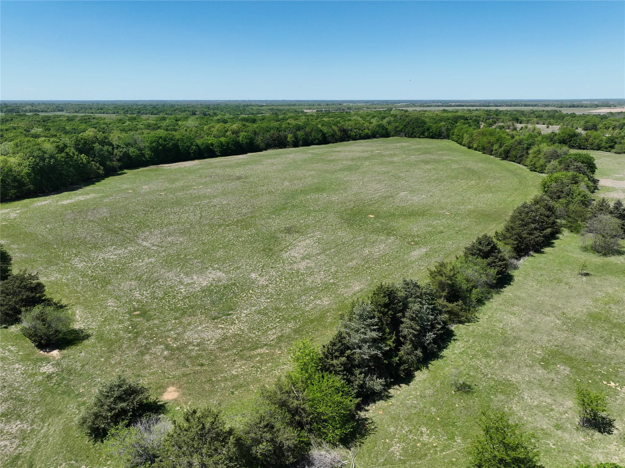 Expansive green acreage framed by natural tree lines
