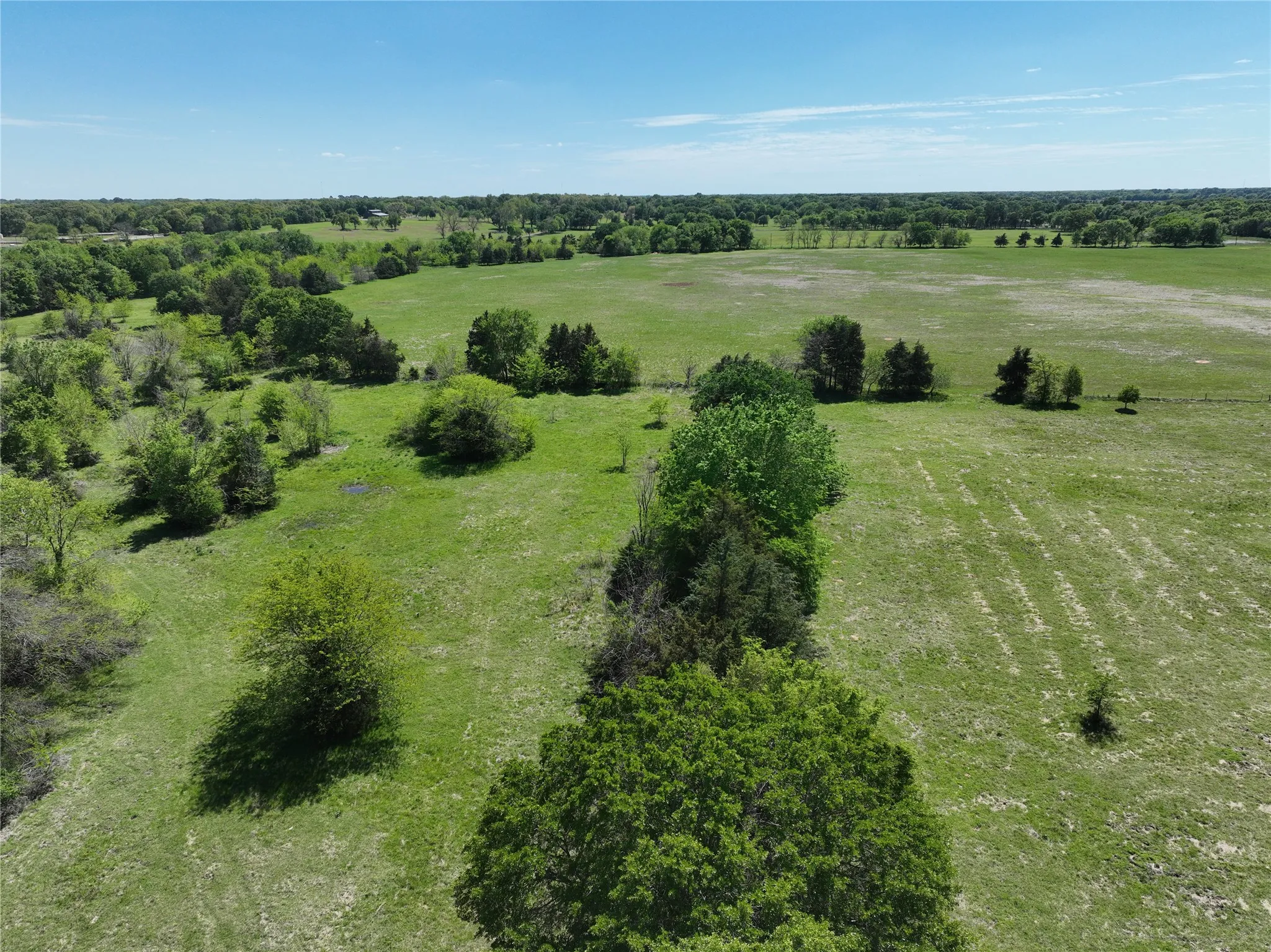 Expansive open land with varied topography, featuring lush green pastures and scattered mature trees