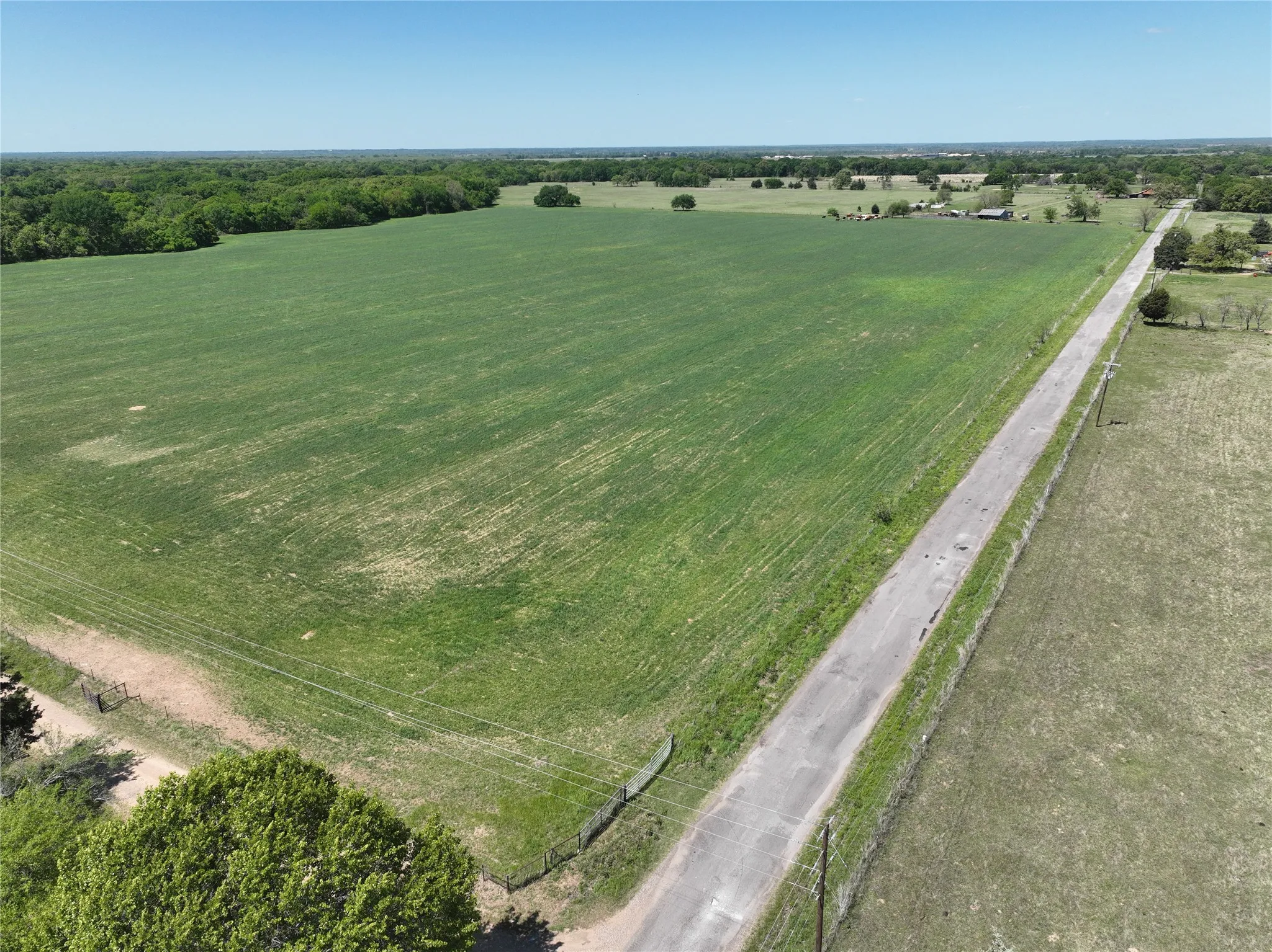 Expansive agricultural land featuring a verdant field, a paved road spanning the length of the property, and a tree line bordering the horizon