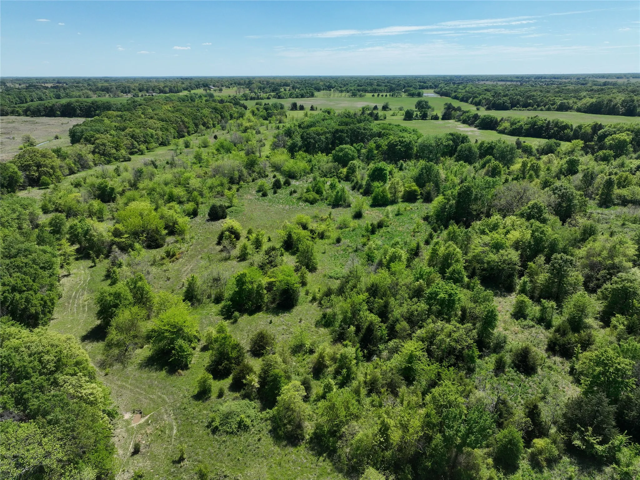 Expansive acreage featuring abundant mature trees and open grassy areas
