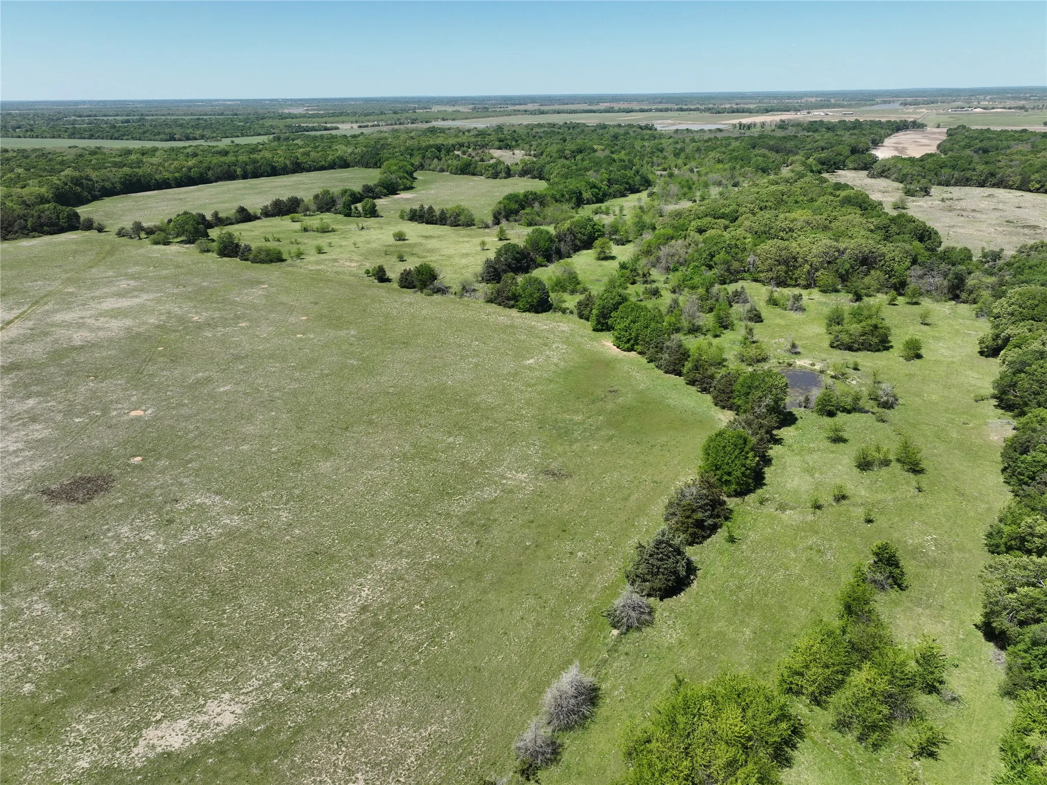 Expansive natural landscape featuring a mix of open grassy fields, dense tree lines, and scattered clusters of mature trees