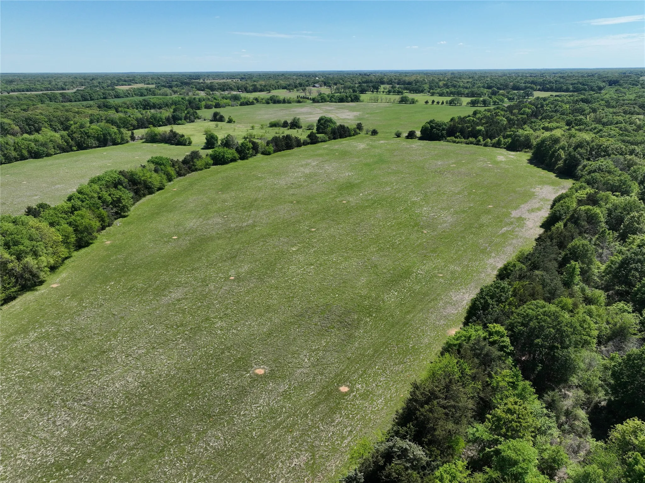 Expansive green pasture bordered by mature trees