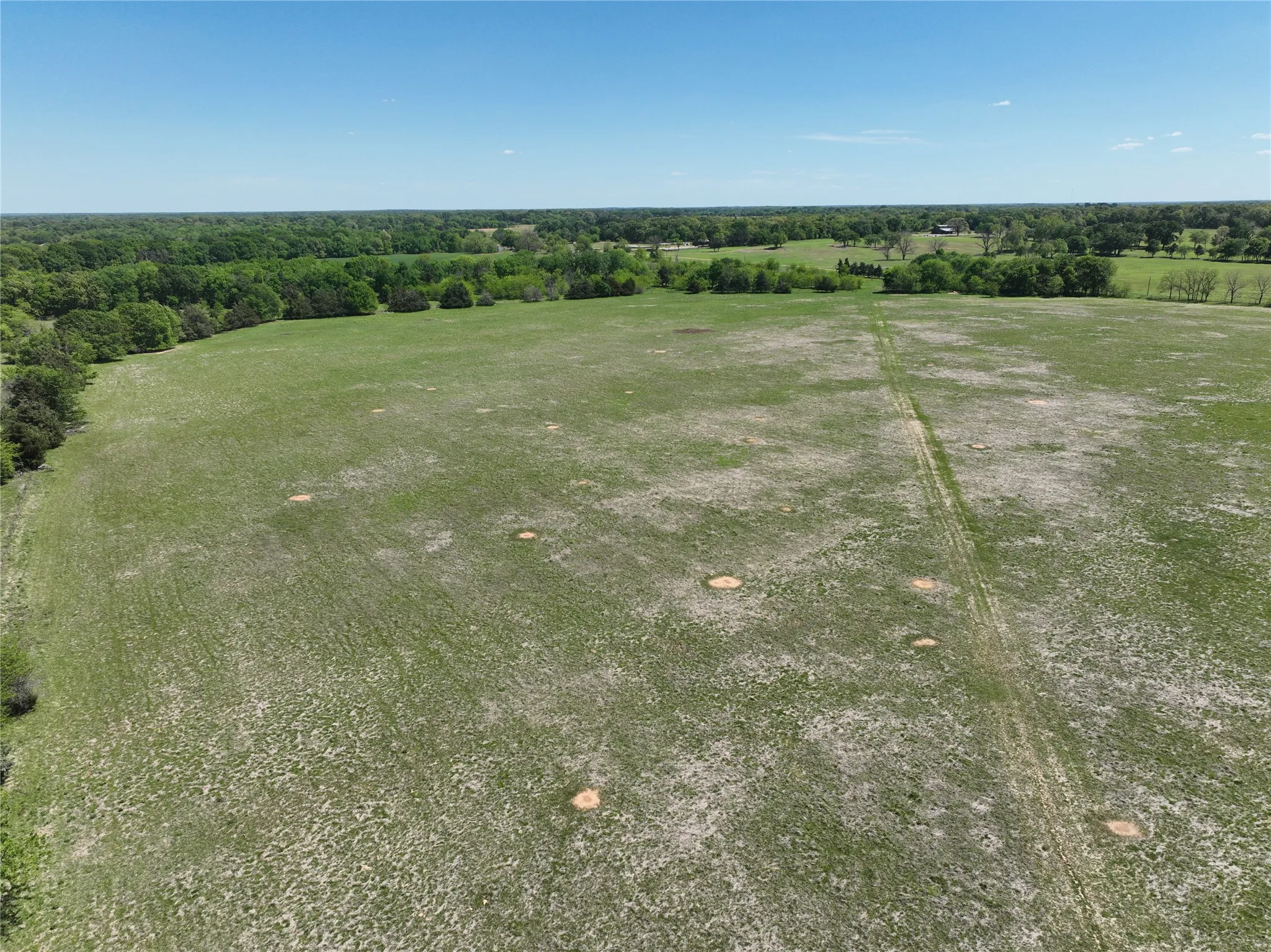 Expansive green acreage with distant tree lines framing the perimeter
