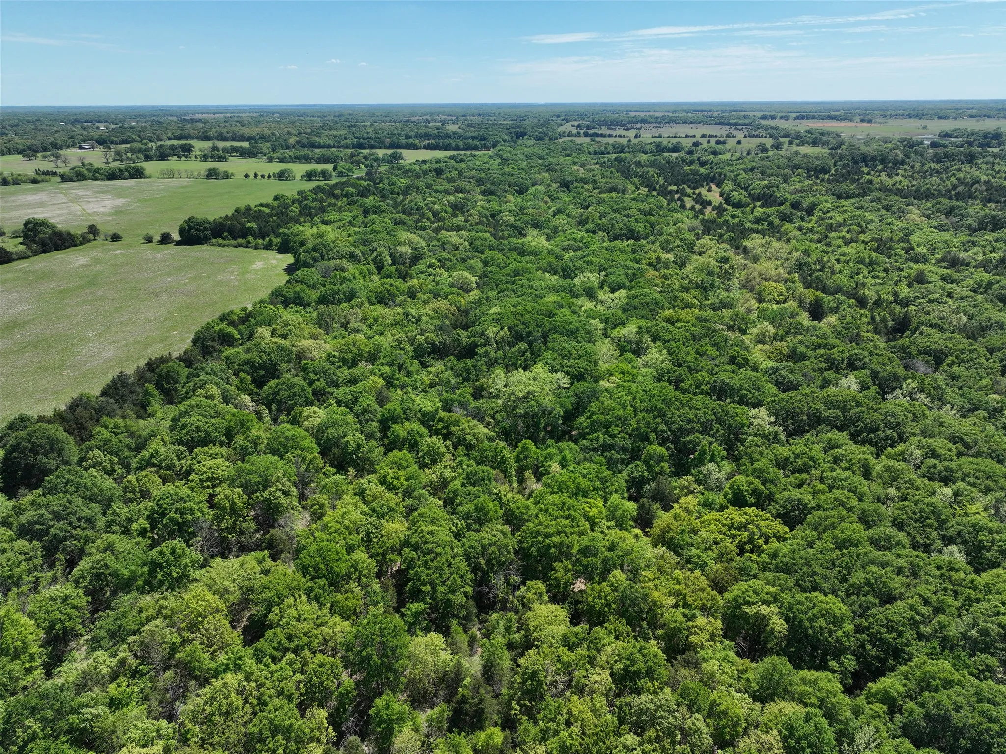 Expansive wooded acreage featuring mature tree cover and clear skies