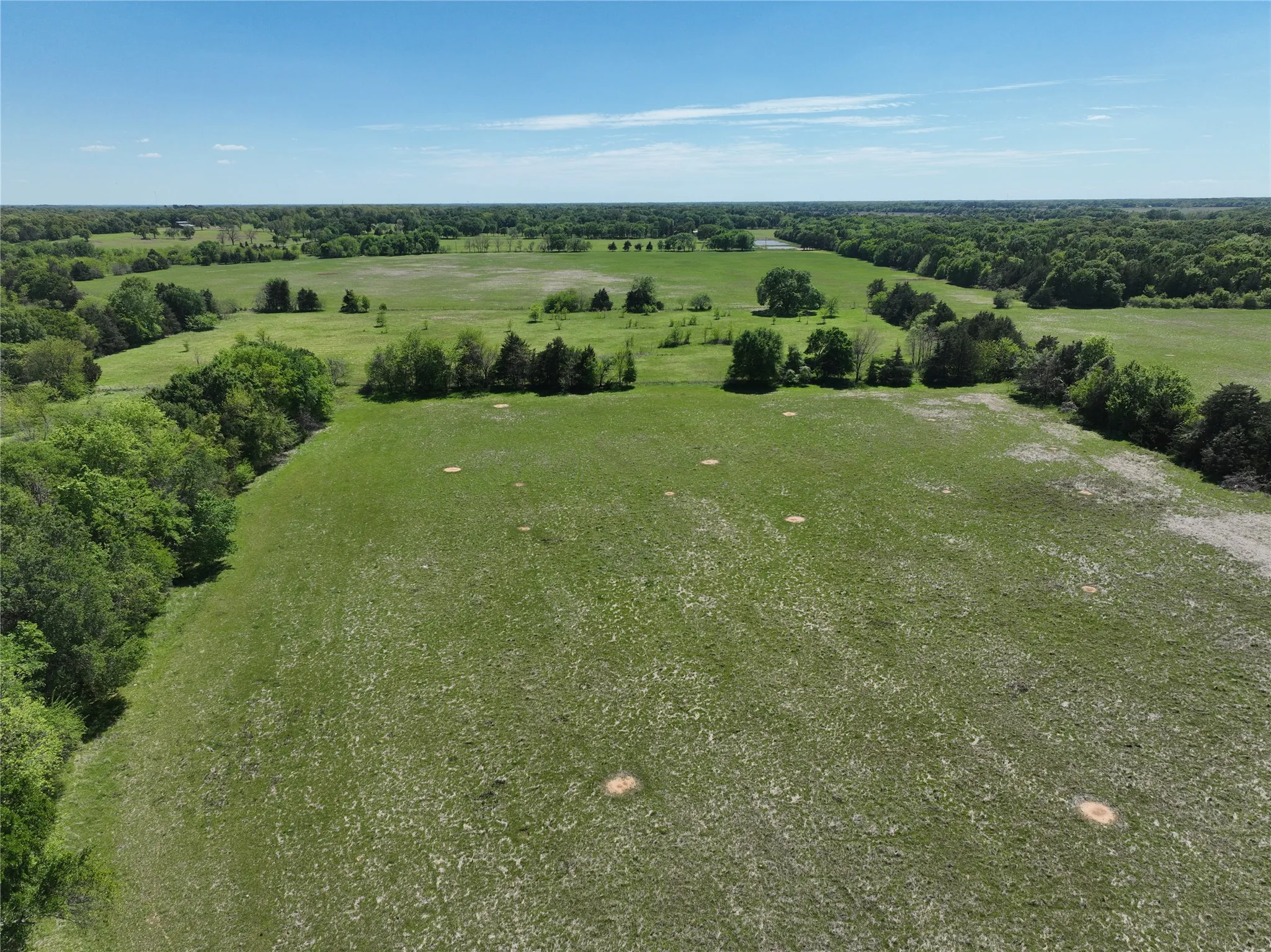 Expansive green pastureland with scattered trees and distant tree lines under a clear blue sky
