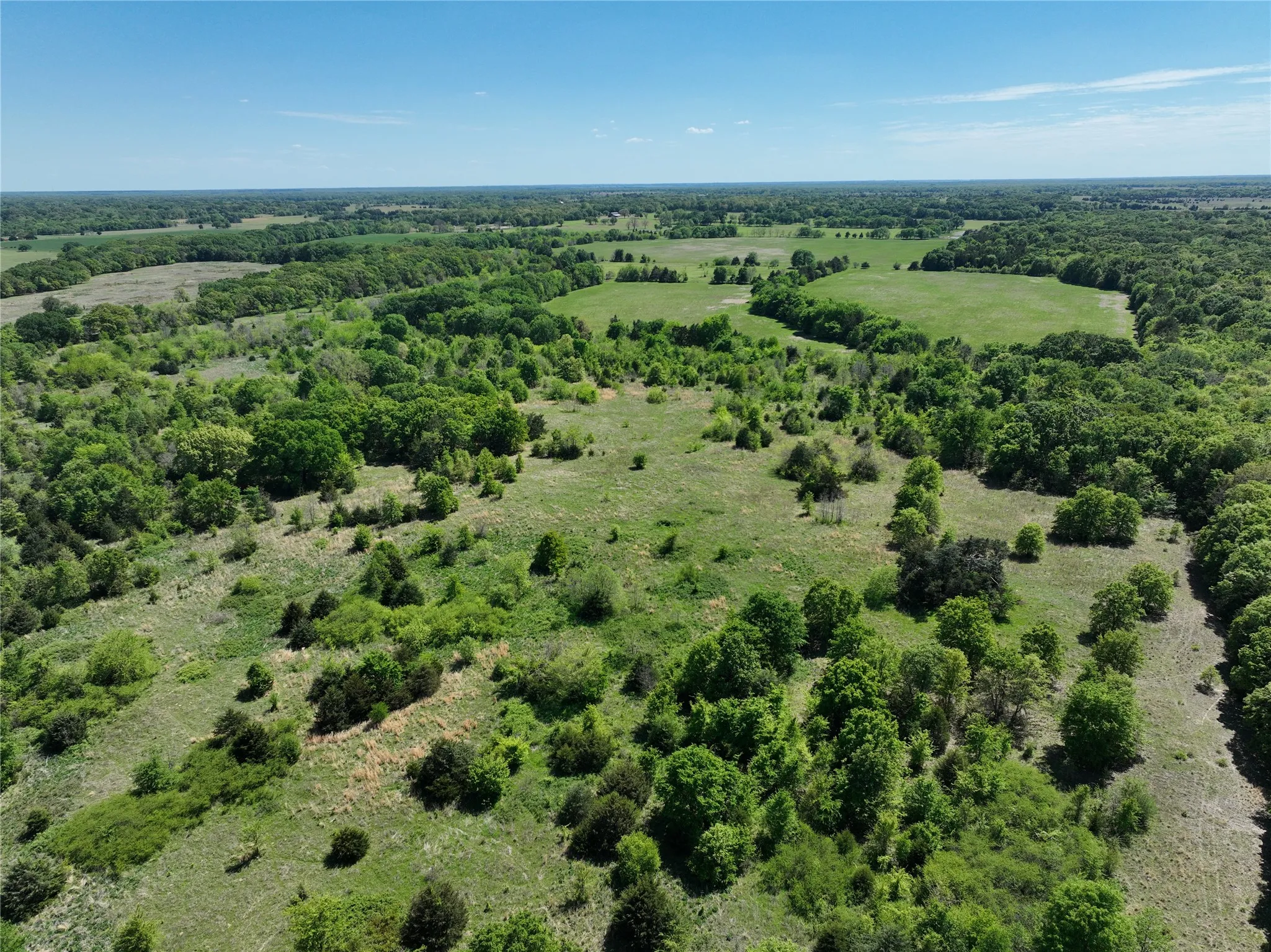 Expansive acreage featuring a mix of mature trees, scattered brush, and open grassy areas under a clear sky