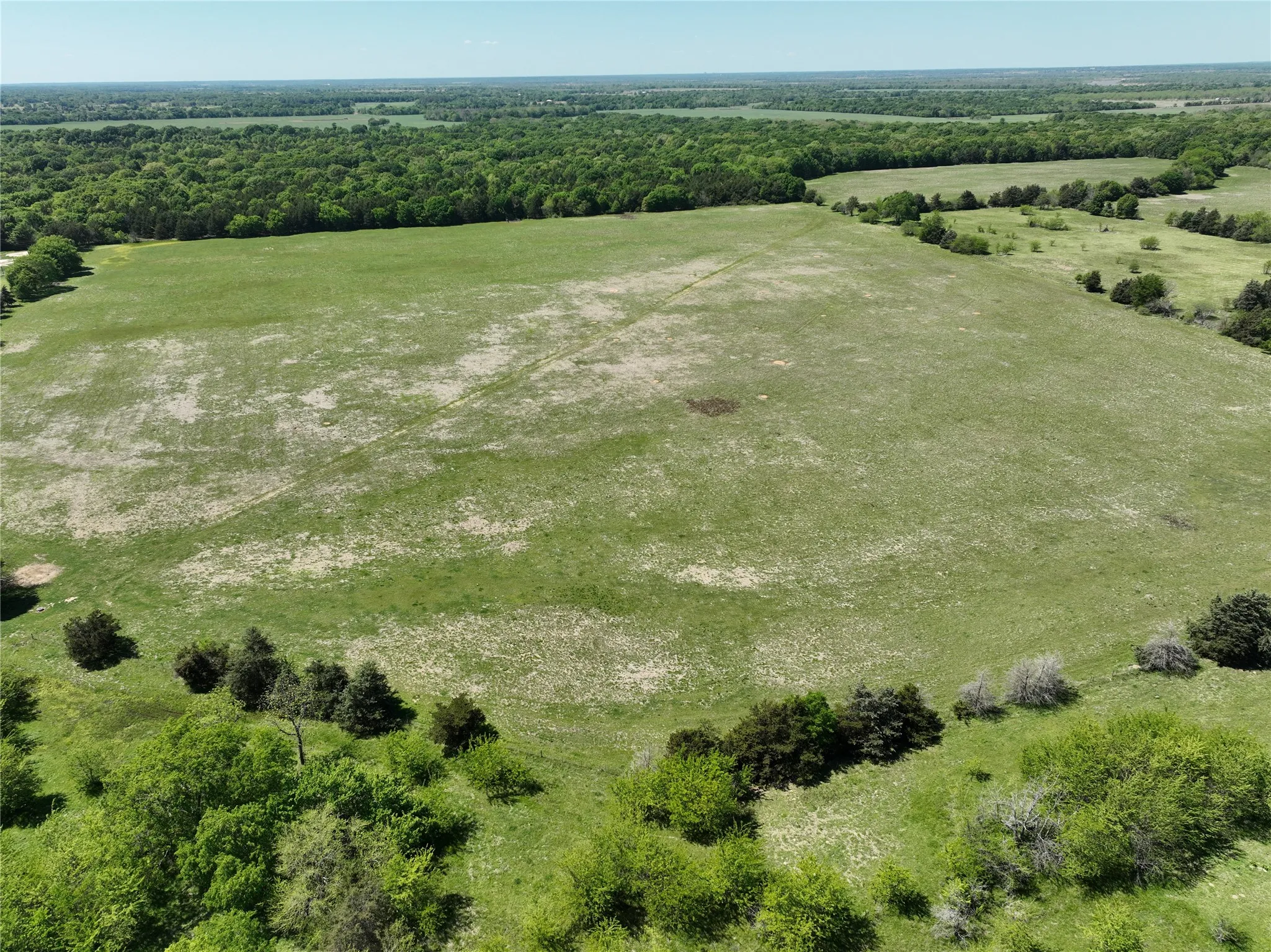 Expansive open field with scattered green foliage and distant tree lines