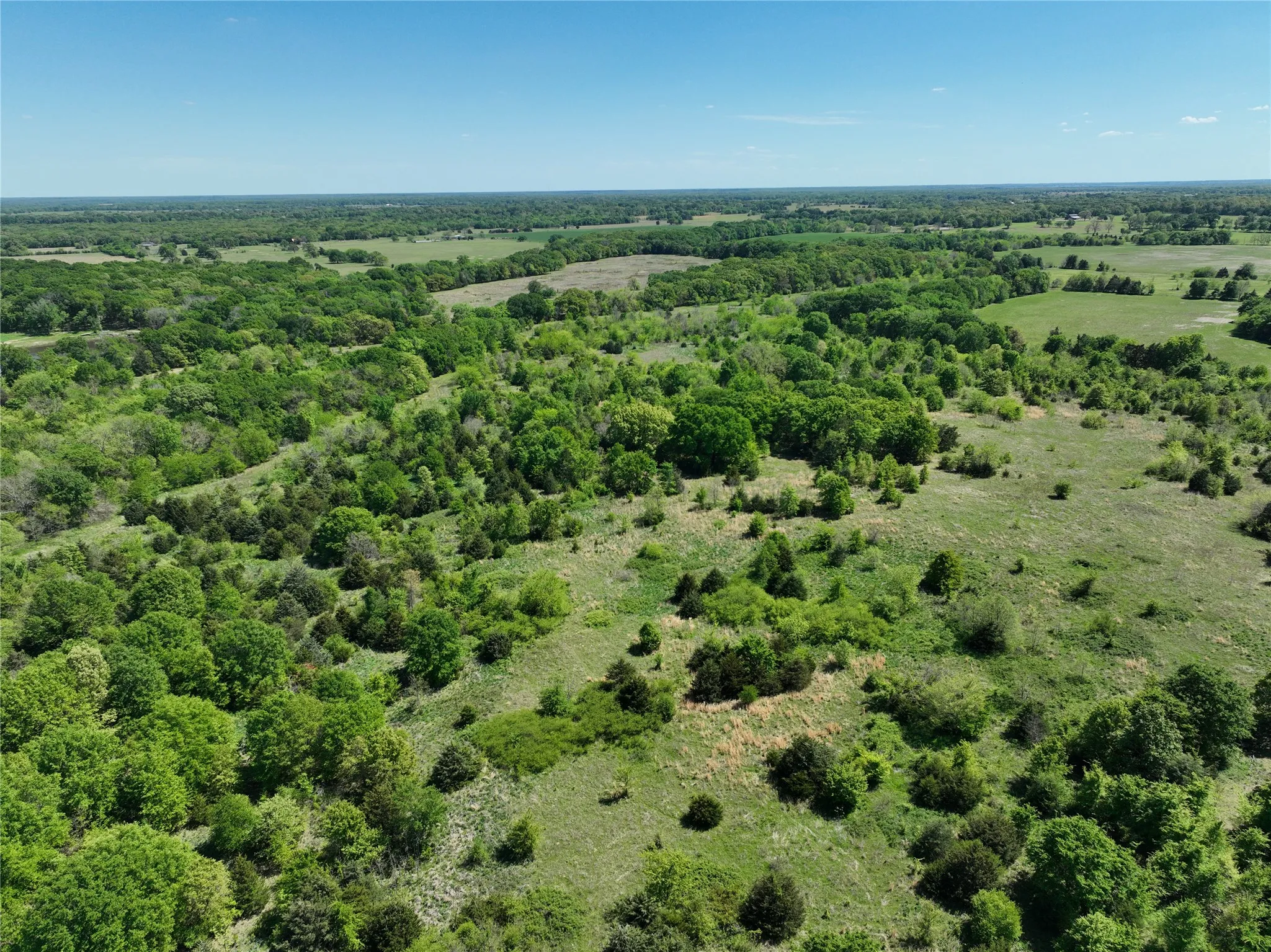 Expansive acreage featuring a diverse landscape of mature trees and open clearings under a clear sky