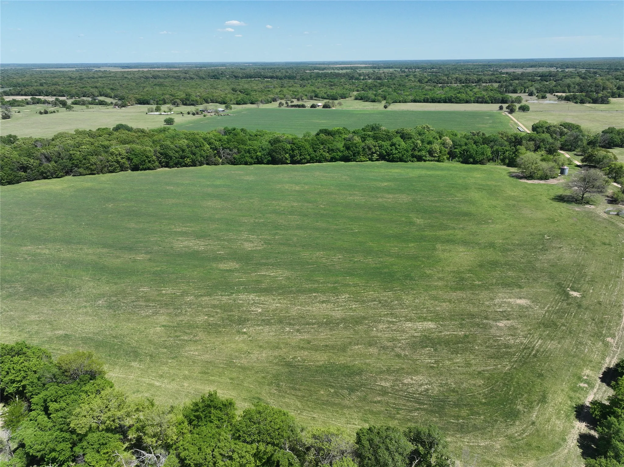 Expansive green pastureland with perimeter tree lines and a clear sky overhead