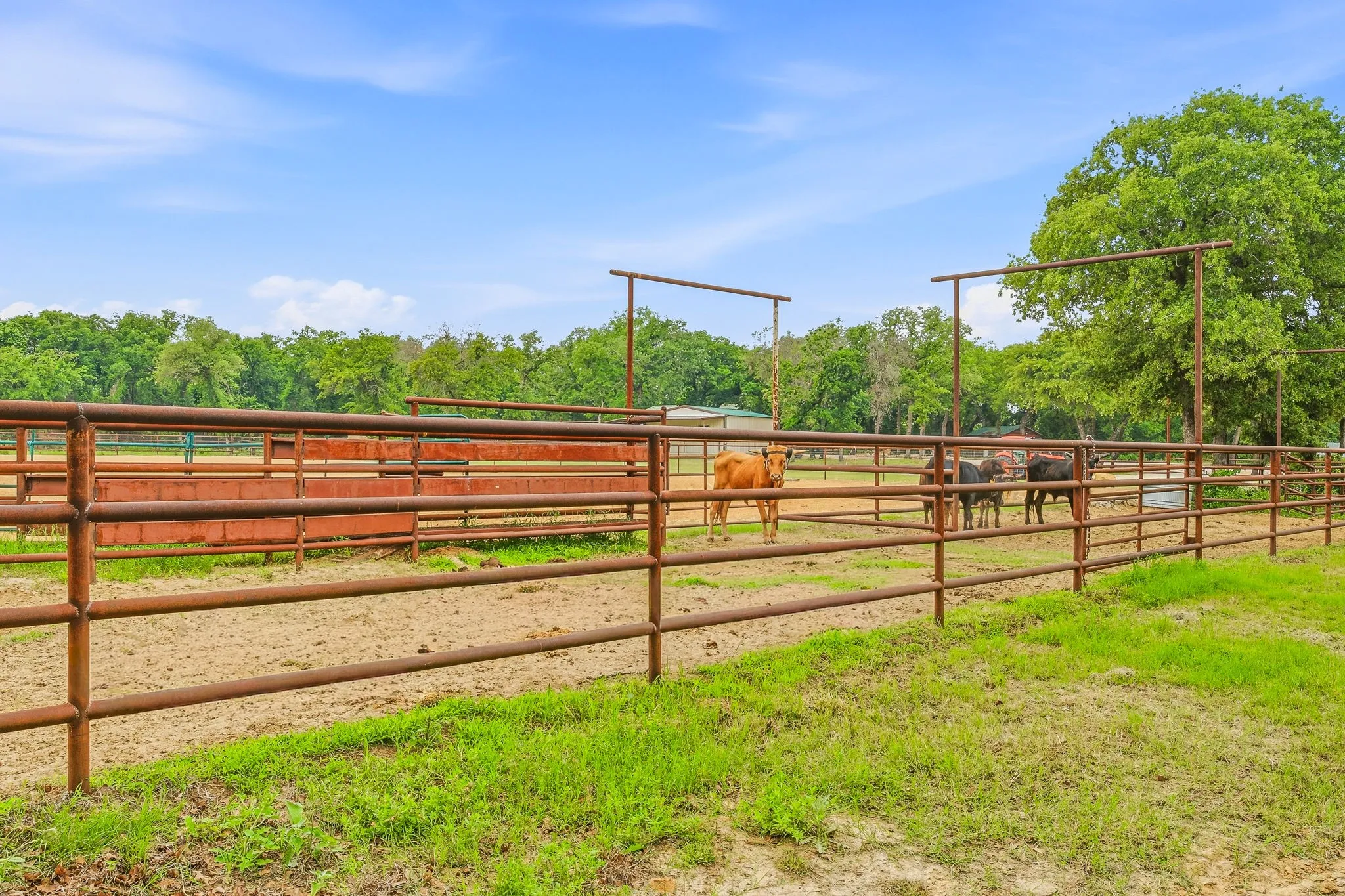 Farm For Sale in Erath County , 6360 County Road 180, Stephenville, Texas 76401, 3 Bedroom, 3 Bathroom, 3 Garage spaces, 4,308 Sqft, built in 2023, New Construction - Complete, mls#21261984, Real Estate Agent in Stephenville, Homes For Sale in Erath county, Homes For Sale in Stephenville, Realtor in Stephenville Texas, Real Estate Brokerage Independent Realty Texas, Luminita Cordes Realtor