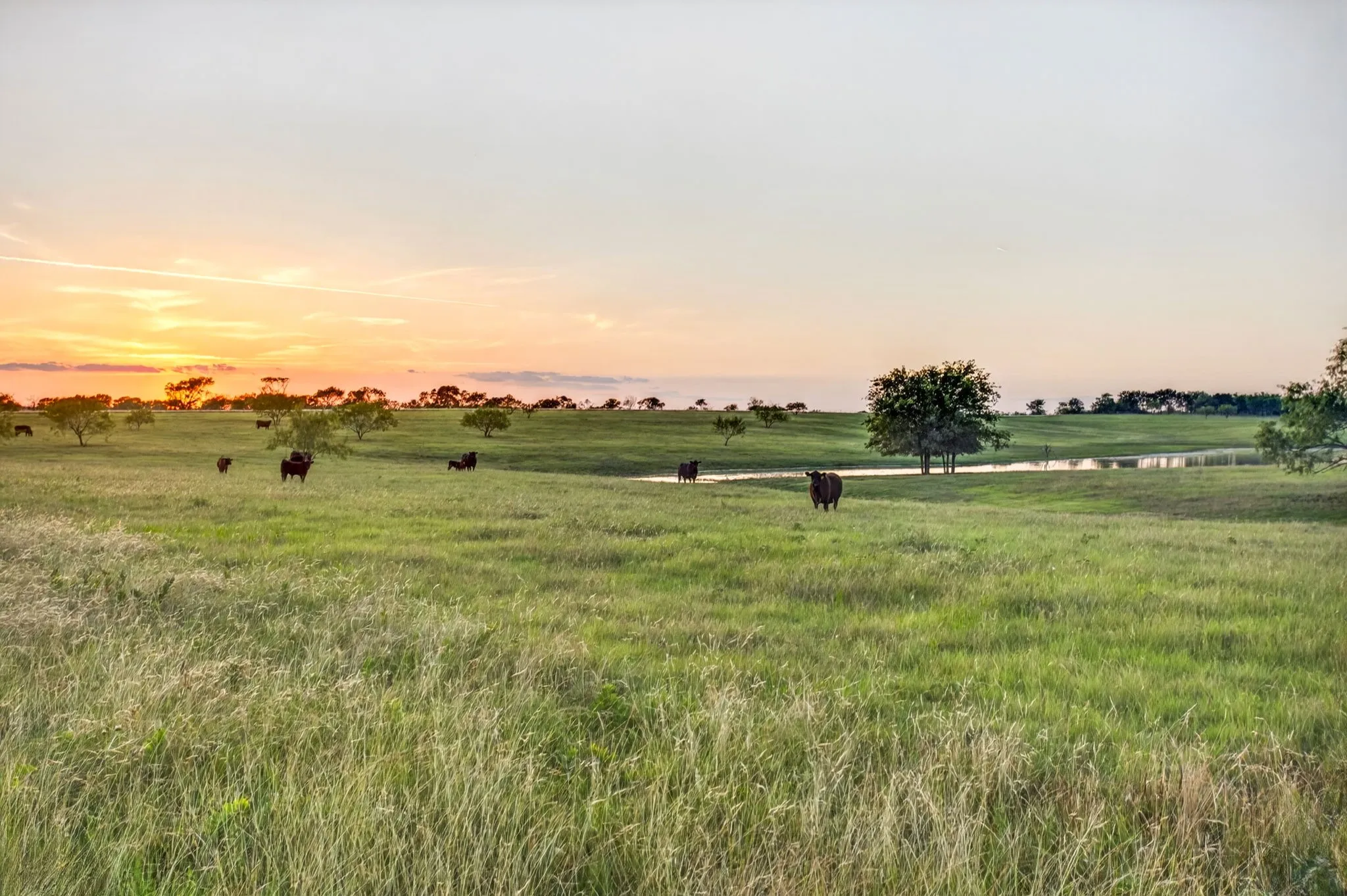 Farm For Sale in Ellis County , 501 Alsdorf Road, Ennis, Texas 75119, 3 Bedroom, 4 Bathroom, 3 Garage spaces, 3,912 Sqft, built in 2022, Preowned, mls#21258987, Real Estate Agent in Ennis, Homes For Sale in Ellis county, Homes For Sale in Ennis, Realtor in Ennis Texas, Real Estate Brokerage Independent Realty Texas, Luminita Cordes Realtor