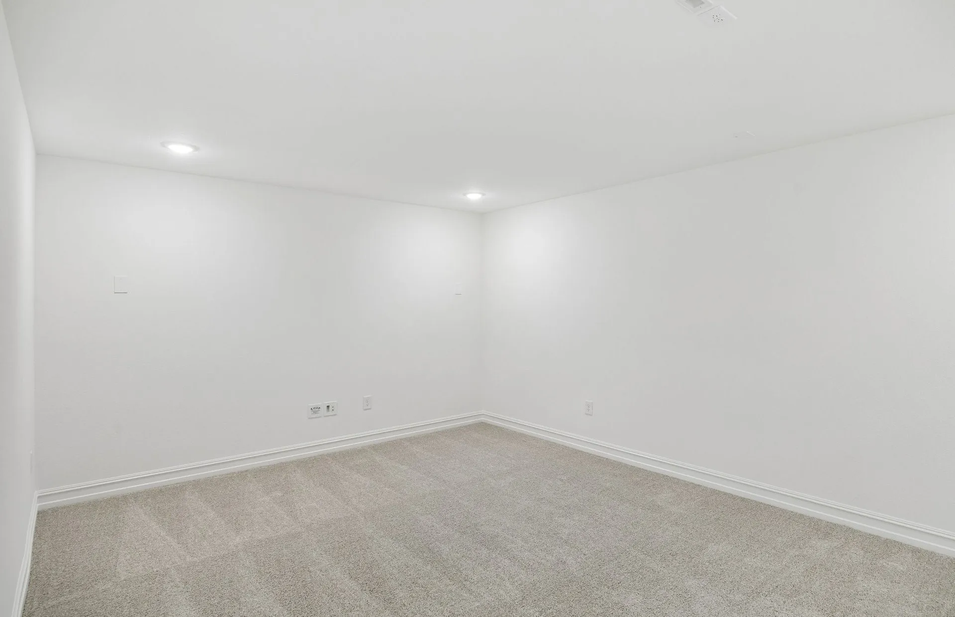 Spacious media room
