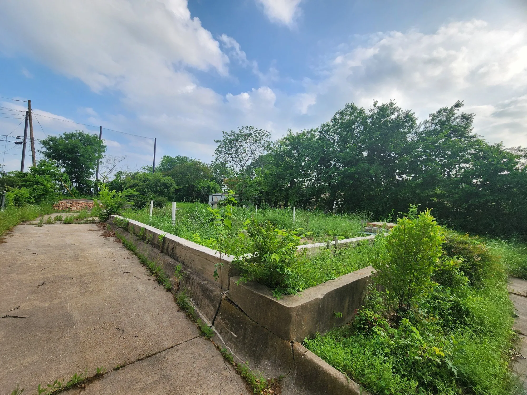 Unimproved Land For Sale in Dallas County , 1802 Sutter Street, Dallas, Texas 75216, 0, 0, Garage spaces, 0 Sqft, built in 0, mls#21261418, Real Estate Agent in Dallas, Homes For Sale in Dallas county, Homes For Sale in Dallas, Realtor in Dallas Texas, Real Estate Brokerage Independent Realty Texas, Luminita Cordes Realtor