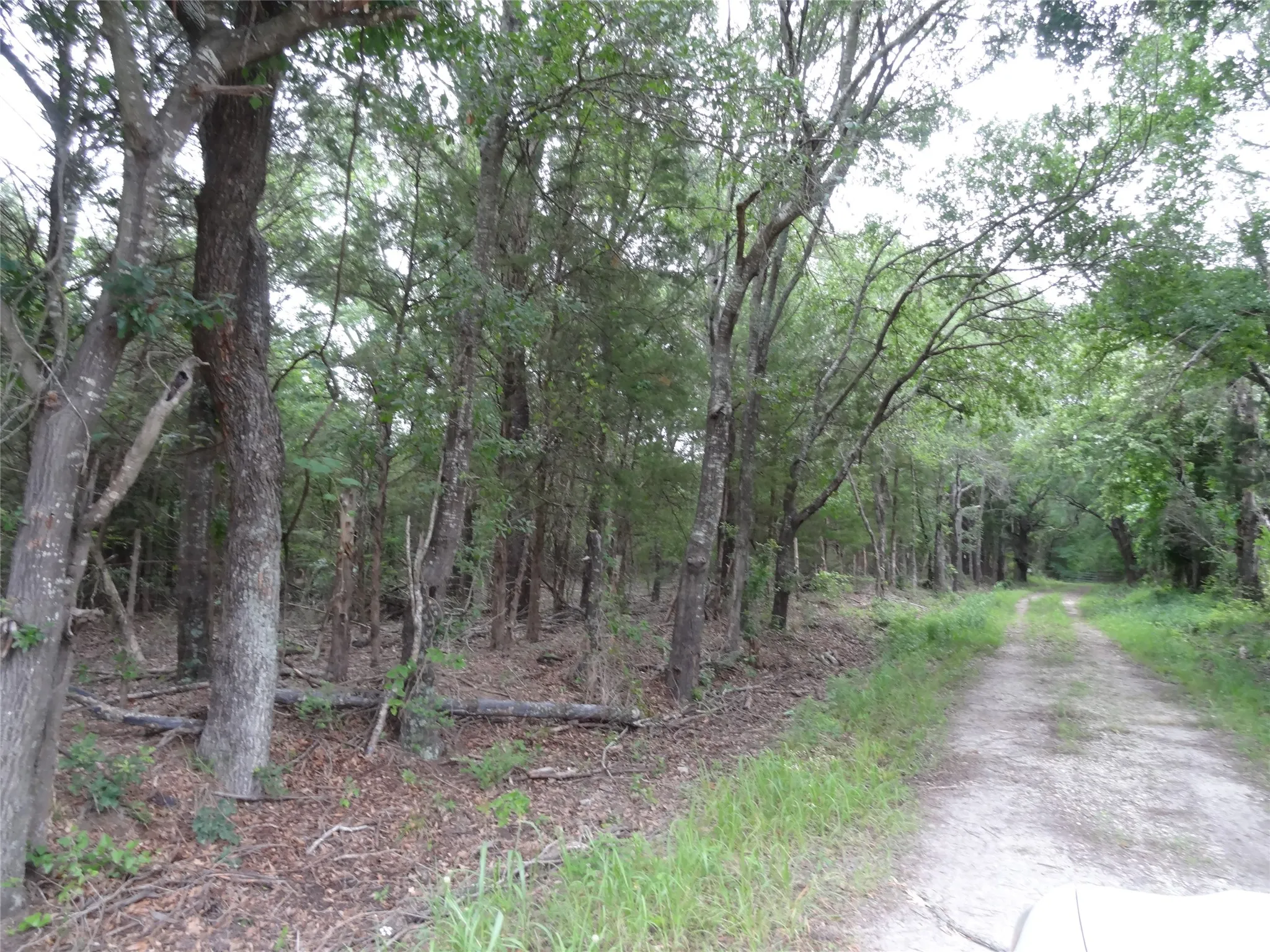 Unimproved Land For Sale in Van Zandt County , 000 VZ CR 2908, Eustace, Texas 75124, 0, 0, Garage spaces, 0 Sqft, built in 0, mls#21262392, Real Estate Agent in Eustace, Homes For Sale in Van Zandt county, Homes For Sale in Eustace, Realtor in Eustace Texas, Real Estate Brokerage Independent Realty Texas, Luminita Cordes Realtor