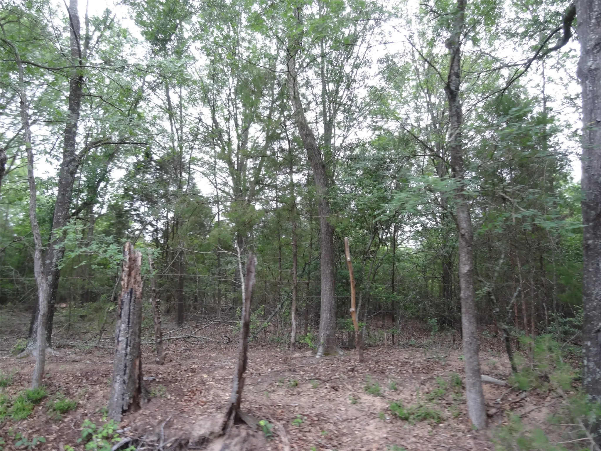Unimproved Land For Sale in Van Zandt County , 000 VZ CR 2908, Eustace, Texas 75124, 0, 0, Garage spaces, 0 Sqft, built in 0, mls#21262392, Real Estate Agent in Eustace, Homes For Sale in Van Zandt county, Homes For Sale in Eustace, Realtor in Eustace Texas, Real Estate Brokerage Independent Realty Texas, Luminita Cordes Realtor