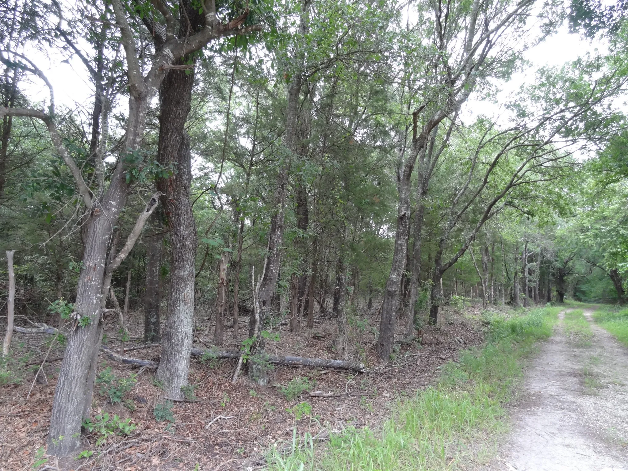 Unimproved Land For Sale in Van Zandt County , 000 VZ CR 2908, Eustace, Texas 75124, 0, 0, Garage spaces, 0 Sqft, built in 0, mls#21262392, Real Estate Agent in Eustace, Homes For Sale in Van Zandt county, Homes For Sale in Eustace, Realtor in Eustace Texas, Real Estate Brokerage Independent Realty Texas, Luminita Cordes Realtor