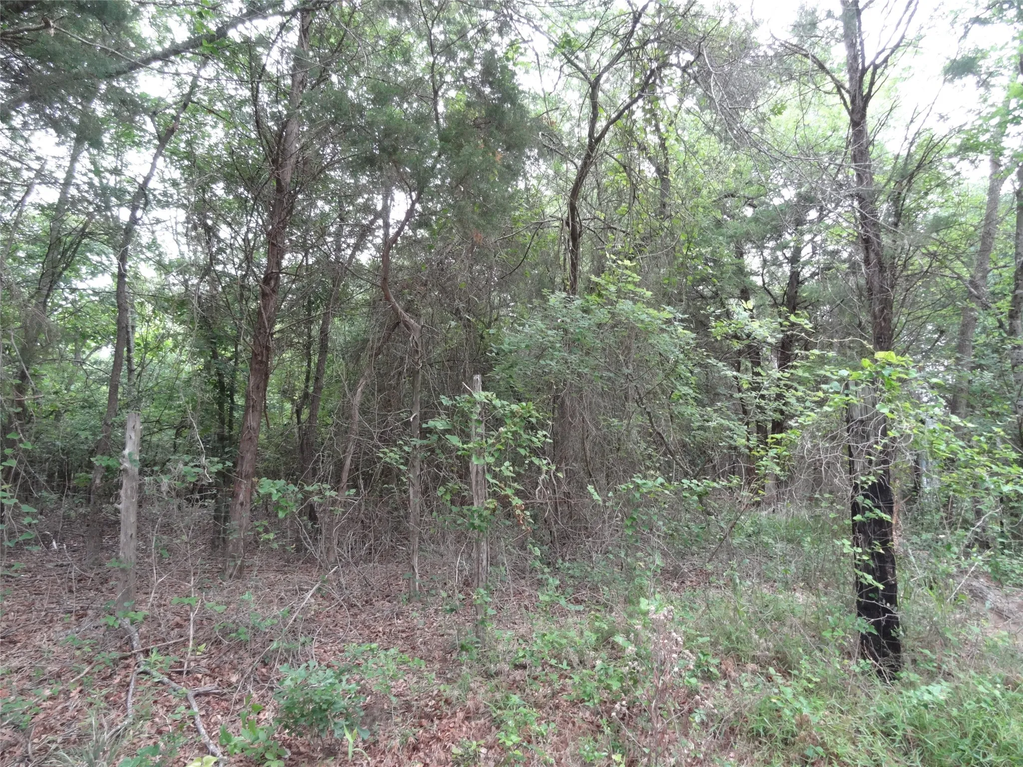 Unimproved Land For Sale in Van Zandt County , 000 VZ CR 2908, Eustace, Texas 75124, 0, 0, Garage spaces, 0 Sqft, built in 0, mls#21262392, Real Estate Agent in Eustace, Homes For Sale in Van Zandt county, Homes For Sale in Eustace, Realtor in Eustace Texas, Real Estate Brokerage Independent Realty Texas, Luminita Cordes Realtor