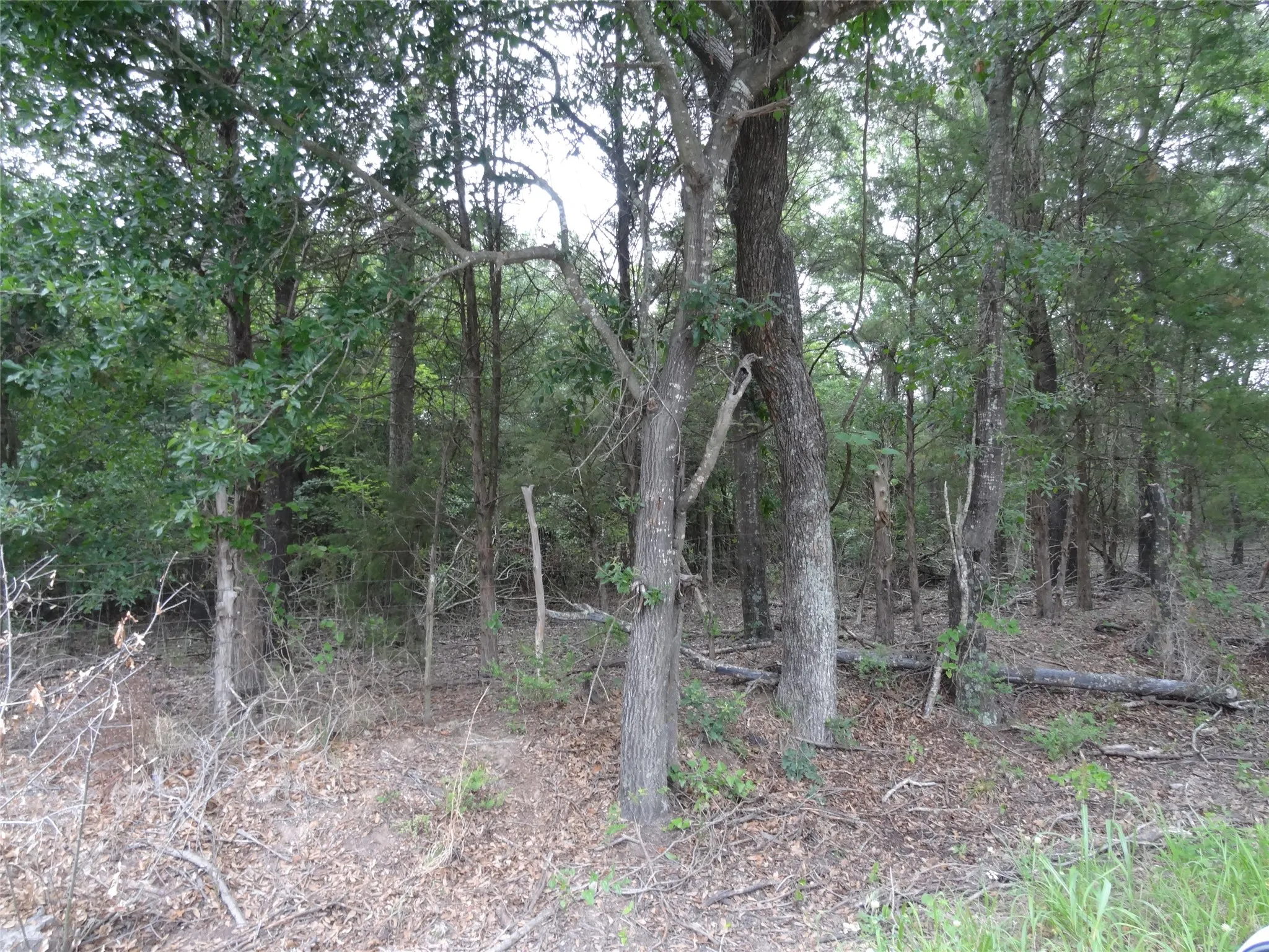 Unimproved Land For Sale in Van Zandt County , 000 VZ CR 2908, Eustace, Texas 75124, 0, 0, Garage spaces, 0 Sqft, built in 0, mls#21262392, Real Estate Agent in Eustace, Homes For Sale in Van Zandt county, Homes For Sale in Eustace, Realtor in Eustace Texas, Real Estate Brokerage Independent Realty Texas, Luminita Cordes Realtor