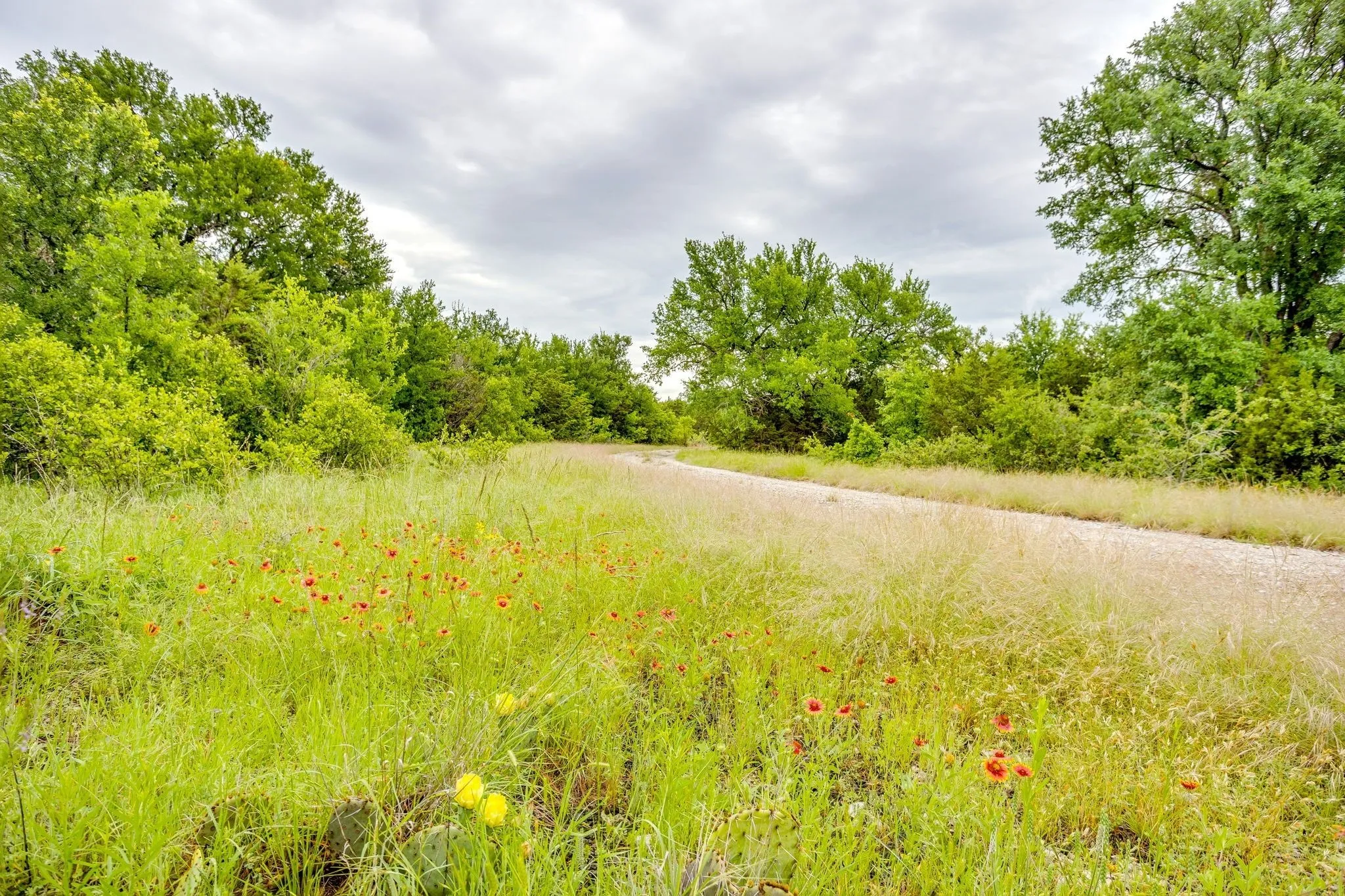 Farm For Sale in Palo Pinto County , 400 S 10th Avenue, Palo Pinto, Texas 76472, 2 Bedroom, 2 Bathroom, 2 Garage spaces, 1,207 Sqft, built in 2000, mls#21262255, Real Estate Agent in Palo Pinto, Homes For Sale in Palo Pinto county, Homes For Sale in Palo Pinto, Realtor in Palo Pinto Texas, Real Estate Brokerage Independent Realty Texas, Luminita Cordes Realtor