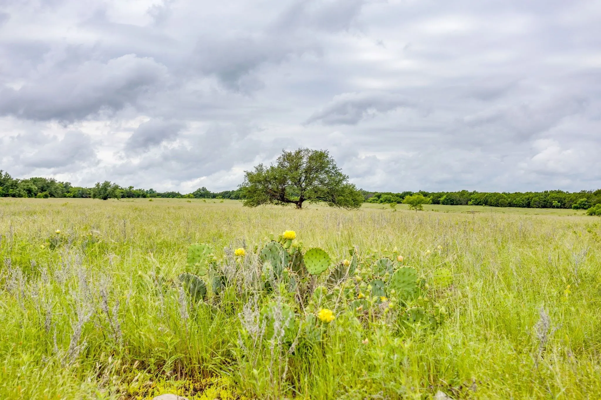 Farm For Sale in Palo Pinto County , 400 S 10th Avenue, Palo Pinto, Texas 76472, 2 Bedroom, 2 Bathroom, 2 Garage spaces, 1,207 Sqft, built in 2000, mls#21262255, Real Estate Agent in Palo Pinto, Homes For Sale in Palo Pinto county, Homes For Sale in Palo Pinto, Realtor in Palo Pinto Texas, Real Estate Brokerage Independent Realty Texas, Luminita Cordes Realtor