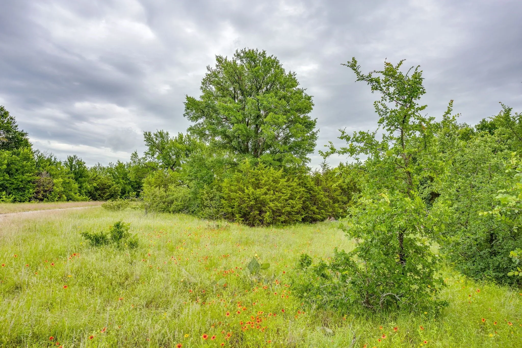 Farm For Sale in Palo Pinto County , 400 S 10th Avenue, Palo Pinto, Texas 76472, 2 Bedroom, 2 Bathroom, 2 Garage spaces, 1,207 Sqft, built in 2000, mls#21262255, Real Estate Agent in Palo Pinto, Homes For Sale in Palo Pinto county, Homes For Sale in Palo Pinto, Realtor in Palo Pinto Texas, Real Estate Brokerage Independent Realty Texas, Luminita Cordes Realtor