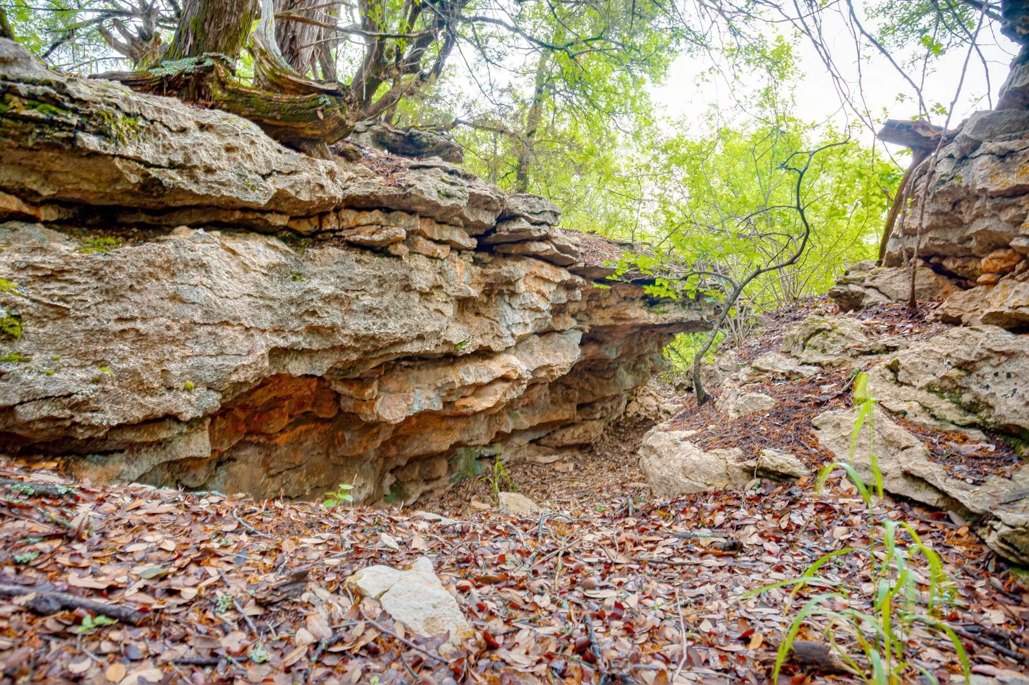 Farm For Sale in Palo Pinto County , 400 S 10th Avenue, Palo Pinto, Texas 76472, 2 Bedroom, 2 Bathroom, 2 Garage spaces, 1,207 Sqft, built in 2000, mls#21262255, Real Estate Agent in Palo Pinto, Homes For Sale in Palo Pinto county, Homes For Sale in Palo Pinto, Realtor in Palo Pinto Texas, Real Estate Brokerage Independent Realty Texas, Luminita Cordes Realtor