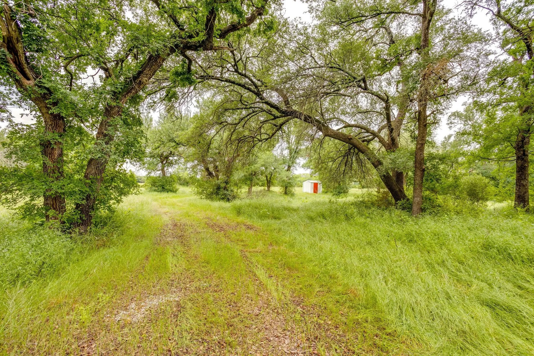Ranch For Sale in Palo Pinto County , 400 S 10th Avenue, Palo Pinto, Texas 76472, 0, 0, Garage spaces, 0 Sqft, built in 0, mls#21262080, Real Estate Agent in Palo Pinto, Homes For Sale in Palo Pinto county, Homes For Sale in Palo Pinto, Realtor in Palo Pinto Texas, Real Estate Brokerage Independent Realty Texas, Luminita Cordes Realtor
