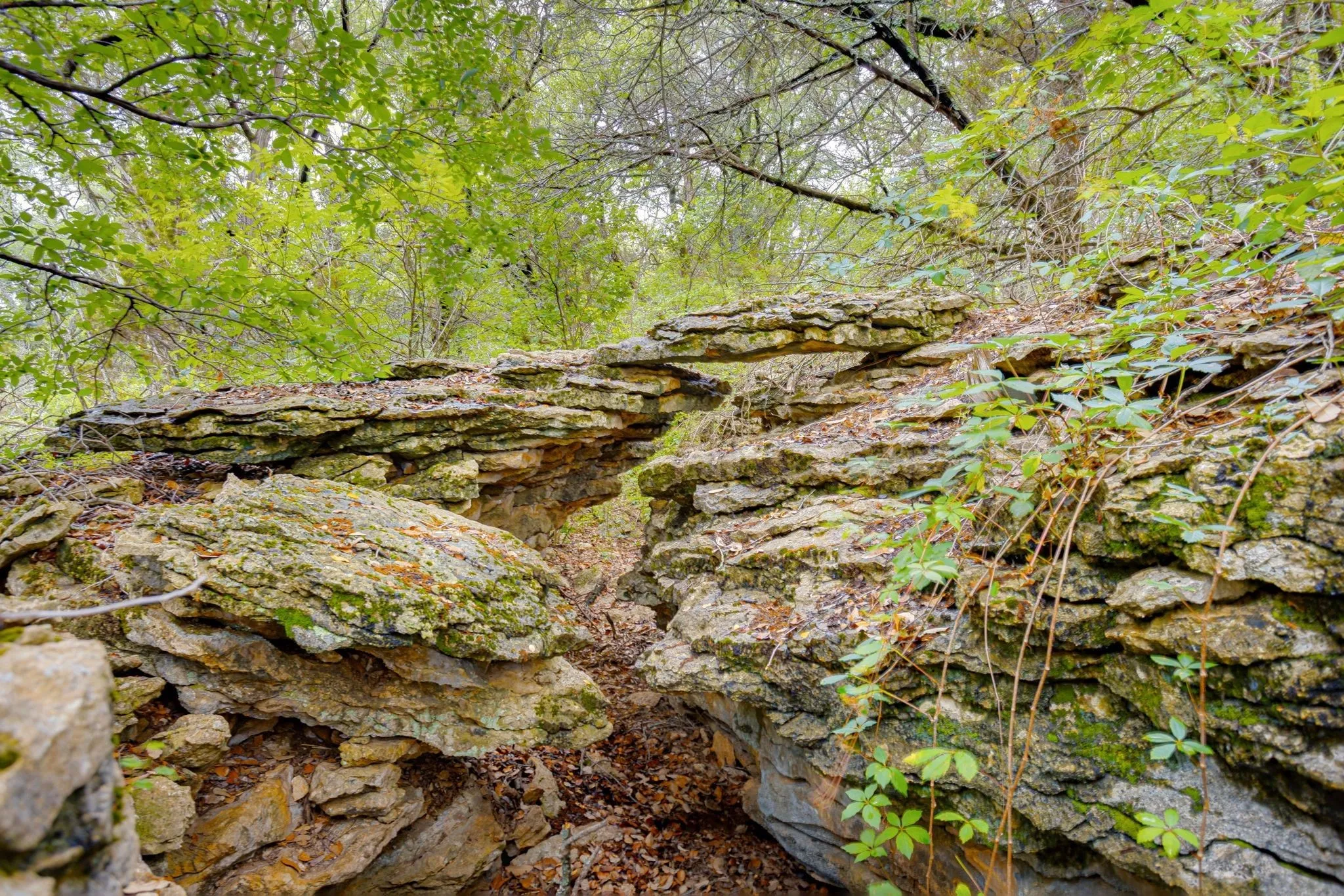 Ranch For Sale in Palo Pinto County , 400 S 10th Avenue, Palo Pinto, Texas 76472, 0, 0, Garage spaces, 0 Sqft, built in 0, mls#21262080, Real Estate Agent in Palo Pinto, Homes For Sale in Palo Pinto county, Homes For Sale in Palo Pinto, Realtor in Palo Pinto Texas, Real Estate Brokerage Independent Realty Texas, Luminita Cordes Realtor