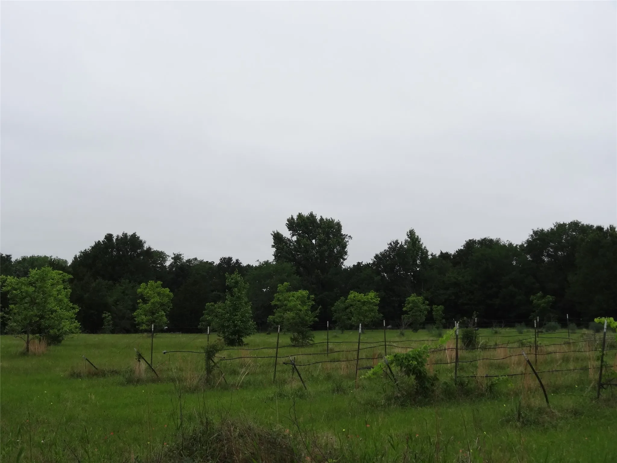 Single Family Residence For Sale in Van Zandt County , 1603 VZ CR 2908, Eustace, Texas 75124, 2 Bedrooms, 1 Bathroom, Garage spaces, 1,280 Sqft, built in 2012, Price $452,000, mls#21262421, Real Estate Agent in Eustace, Homes For Sale in Van Zandt county, Homes For Sale in Eustace, Realtor in Eustace Texas, Real Estate Brokerage Independent Realty Texas, Luminita Cordes Realtor