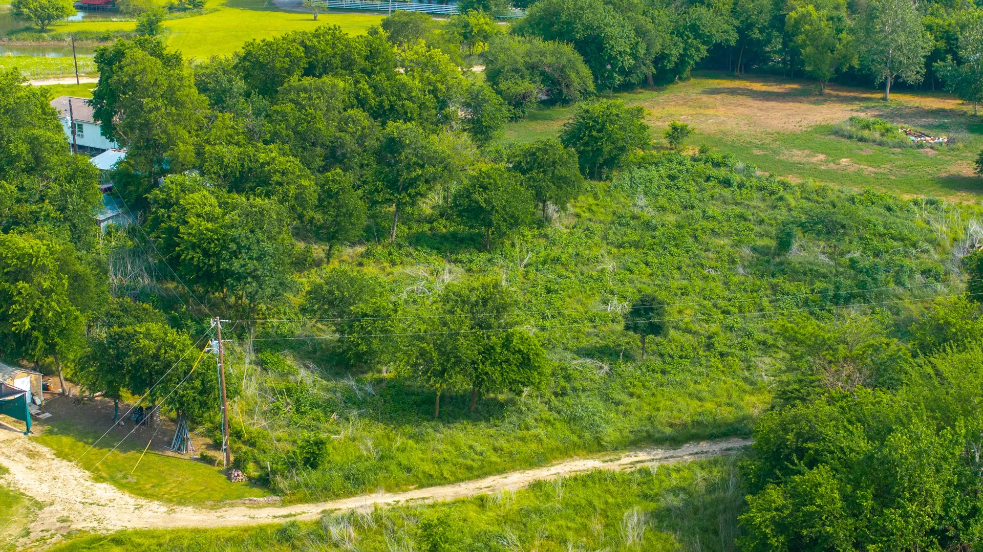 Unimproved Land For Sale in Hunt County , TBD Private Road 3782, Quinlan, Texas 75474, 0, 0, Garage spaces, 0 Sqft, built in 0, mls#21254014, Real Estate Agent in Quinlan, Homes For Sale in Hunt county, Homes For Sale in Quinlan, Realtor in Quinlan Texas, Real Estate Brokerage Independent Realty Texas, Luminita Cordes Realtor