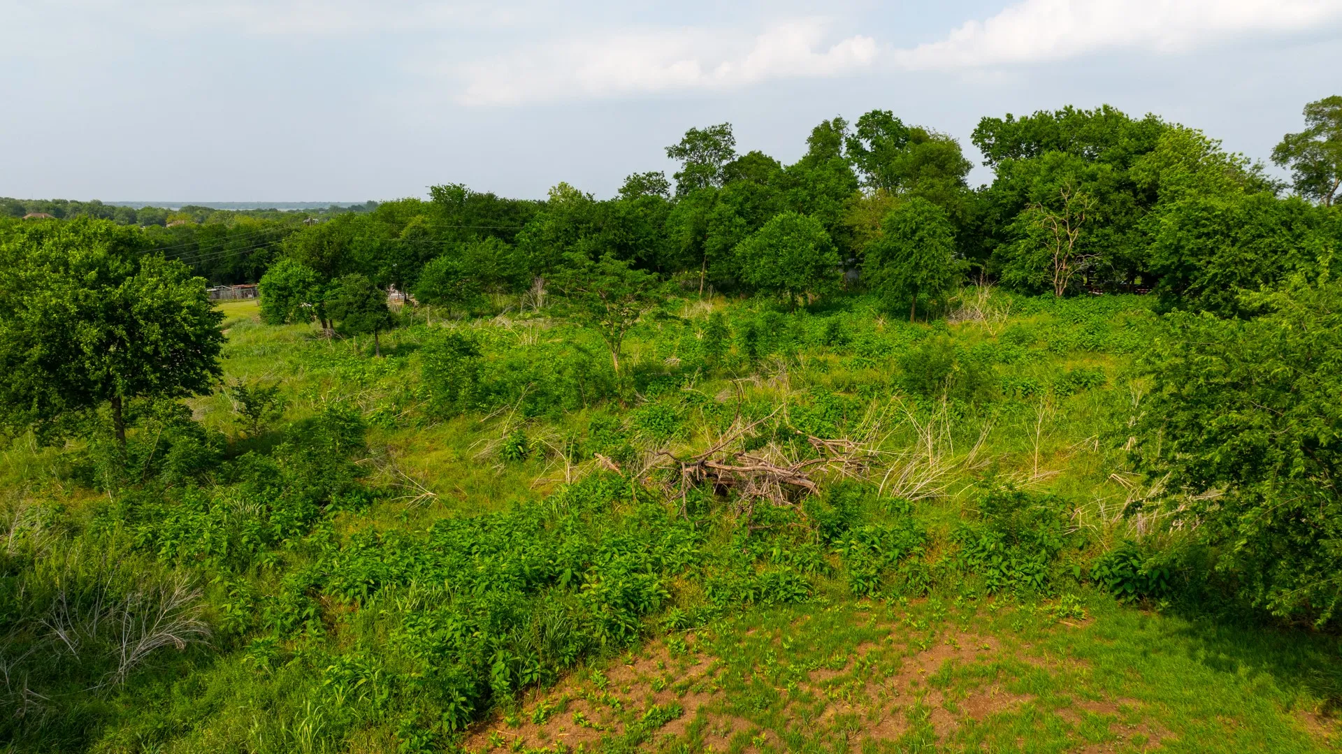 Unimproved Land For Sale in Hunt County , TBD Private Road 3782, Quinlan, Texas 75474, 0, 0, Garage spaces, 0 Sqft, built in 0, mls#21254014, Real Estate Agent in Quinlan, Homes For Sale in Hunt county, Homes For Sale in Quinlan, Realtor in Quinlan Texas, Real Estate Brokerage Independent Realty Texas, Luminita Cordes Realtor