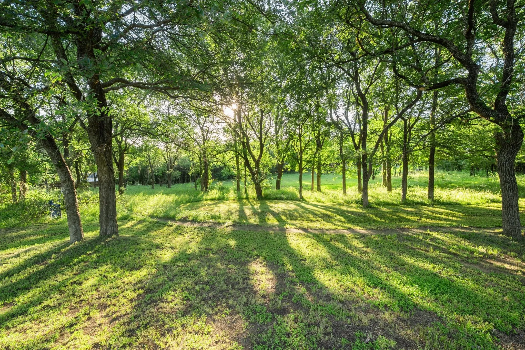 Single Family Residence For Sale in Navarro County , 134 County Road 3048, Corsicana, Texas 75109, 3 Bedroom, 2 Bathroom, Garage spaces, 1,718 Sqft, built in 2004, mls#21262362, Real Estate Agent in Corsicana, Homes For Sale in Navarro county, Homes For Sale in Corsicana, Realtor in Corsicana Texas, Real Estate Brokerage Independent Realty Texas, Luminita Cordes Realtor